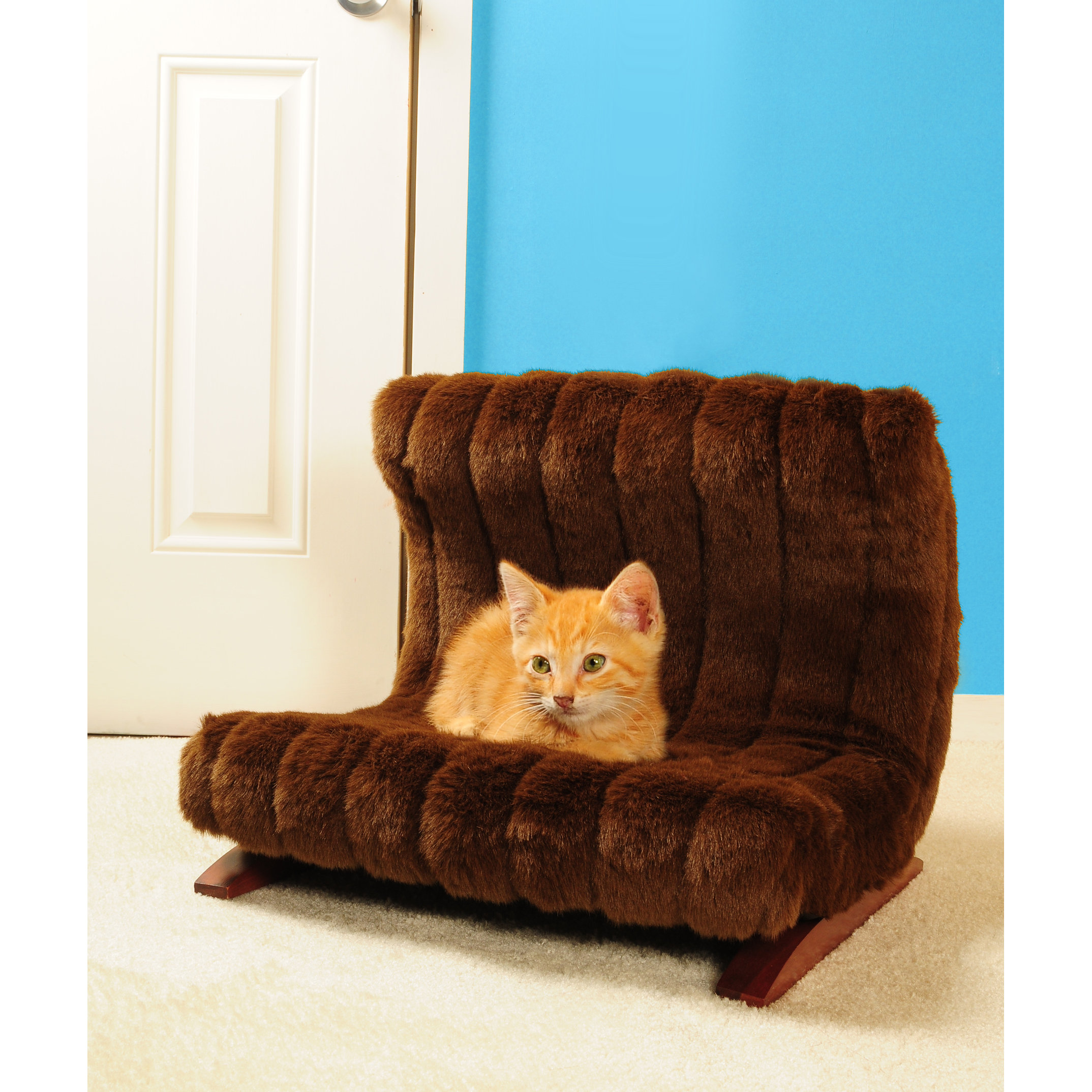 Keet Modern Pet Bed & Reviews Wayfair
