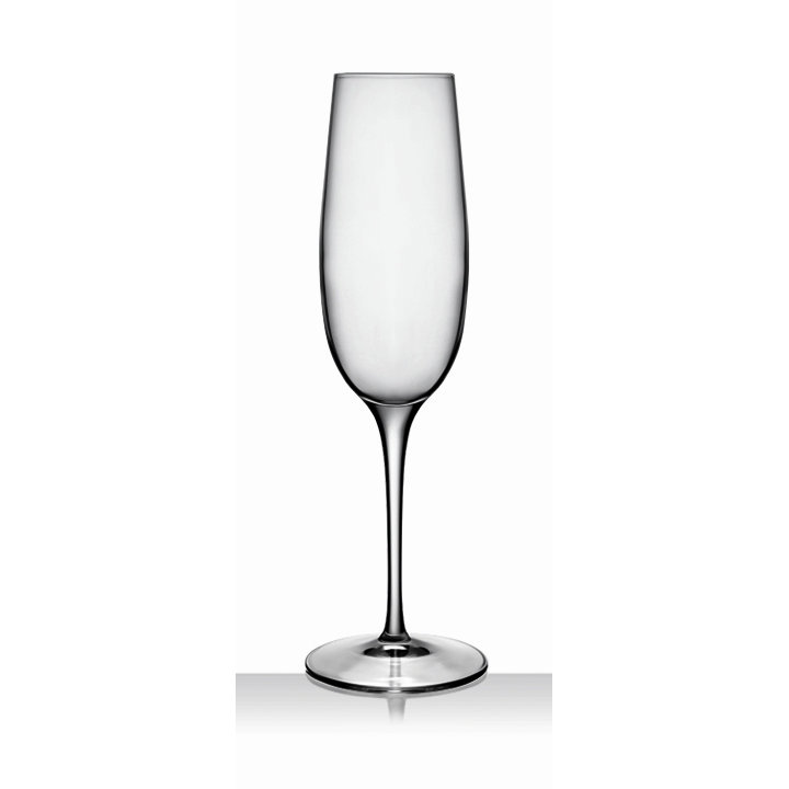 Luigi Bormioli Palace Champagne Flute & Reviews Wayfair