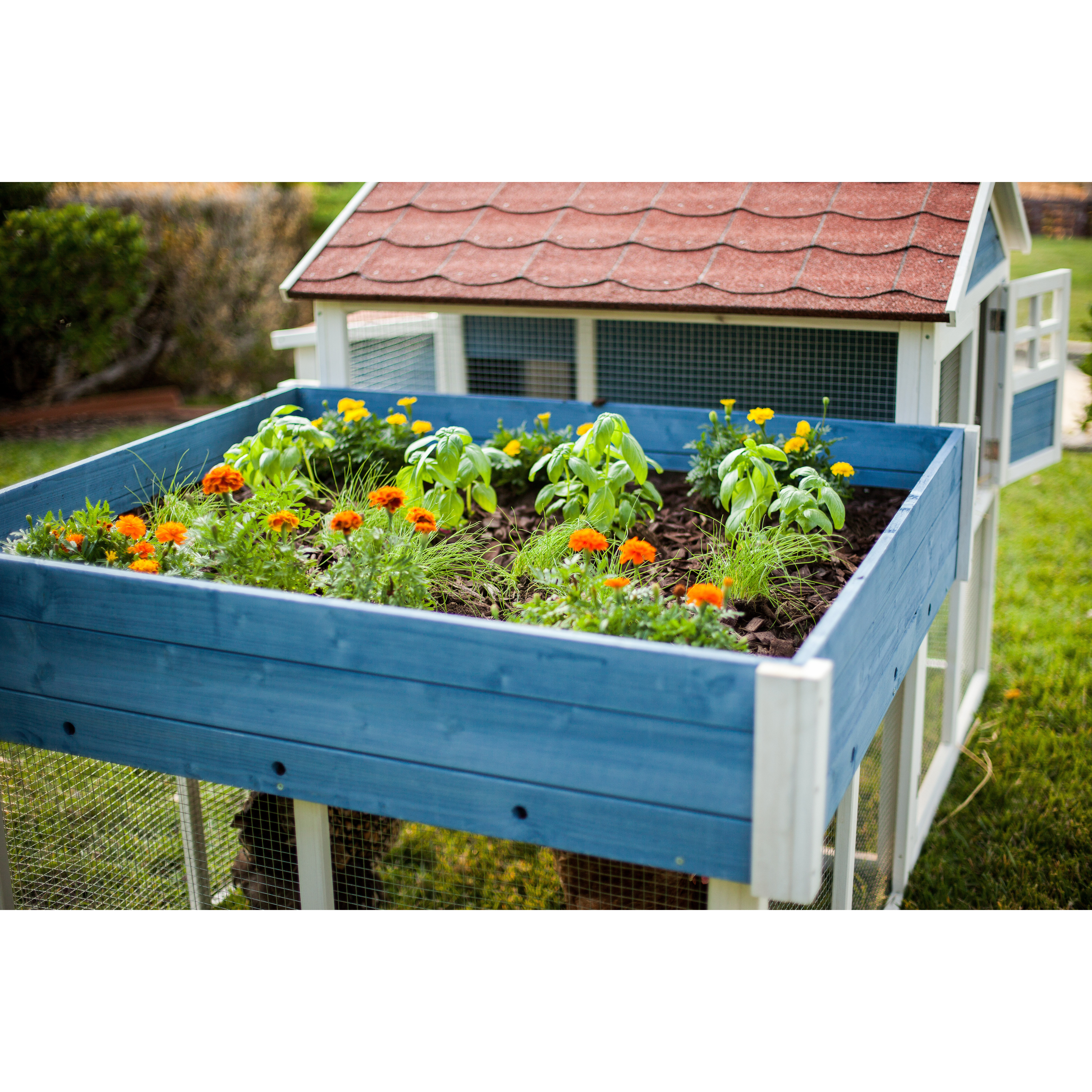 Advantek Pointe Elizabeth Rooftop Garden Chicken Coop Wayfair