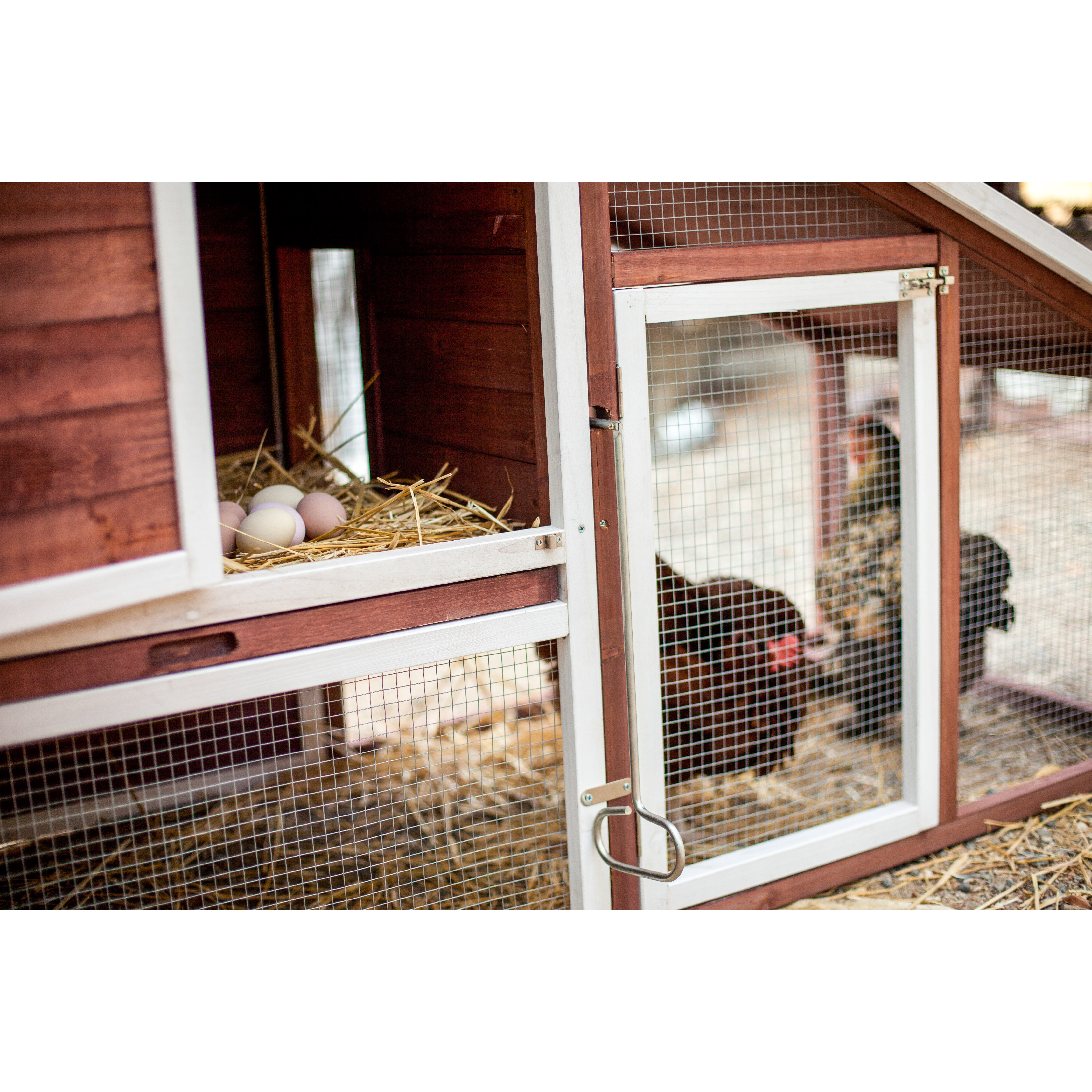 Advantek The Farm House Chicken Coop & Reviews Wayfair