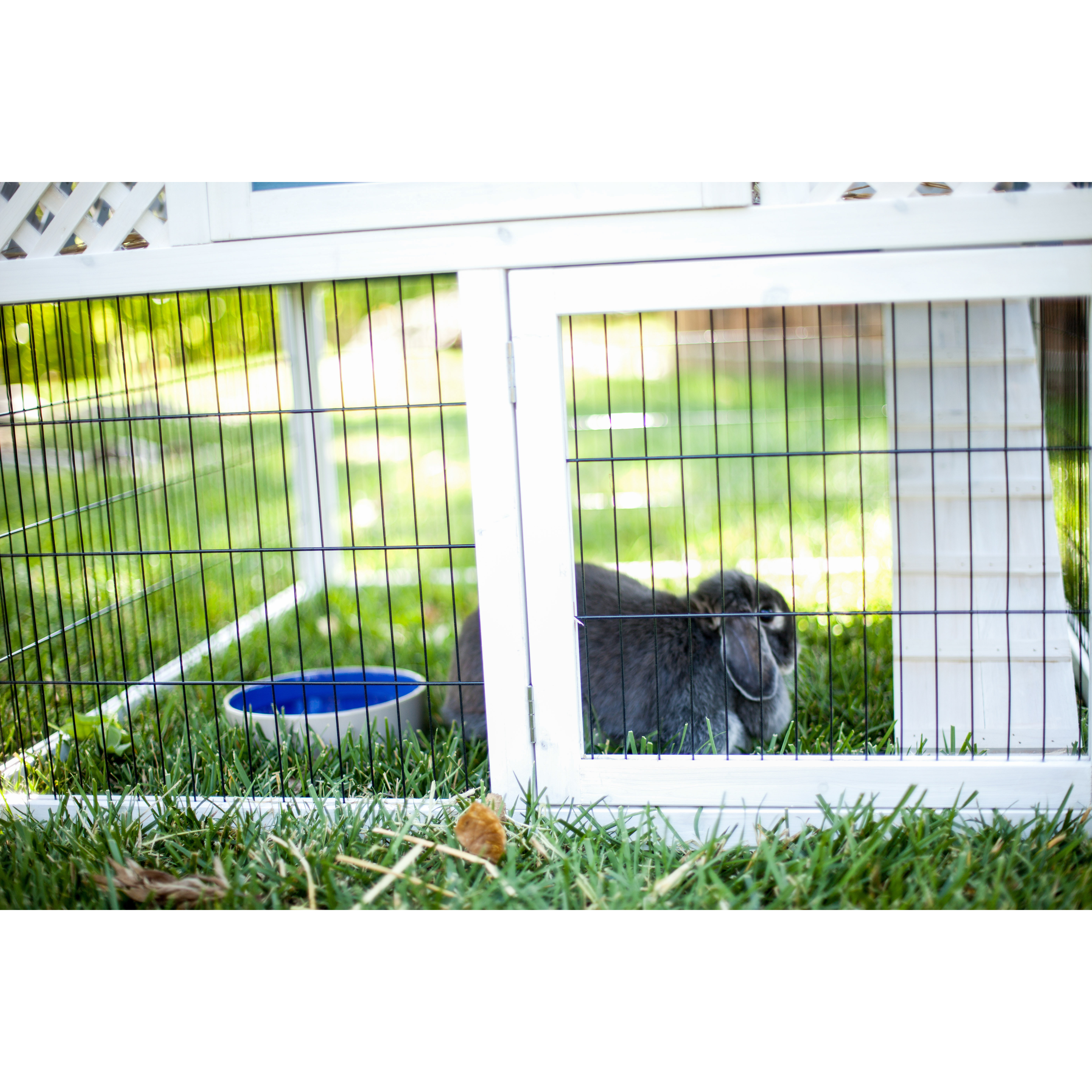 Advantek Pointe Elizabeth Pagoda Rabbit Hutch Wayfair