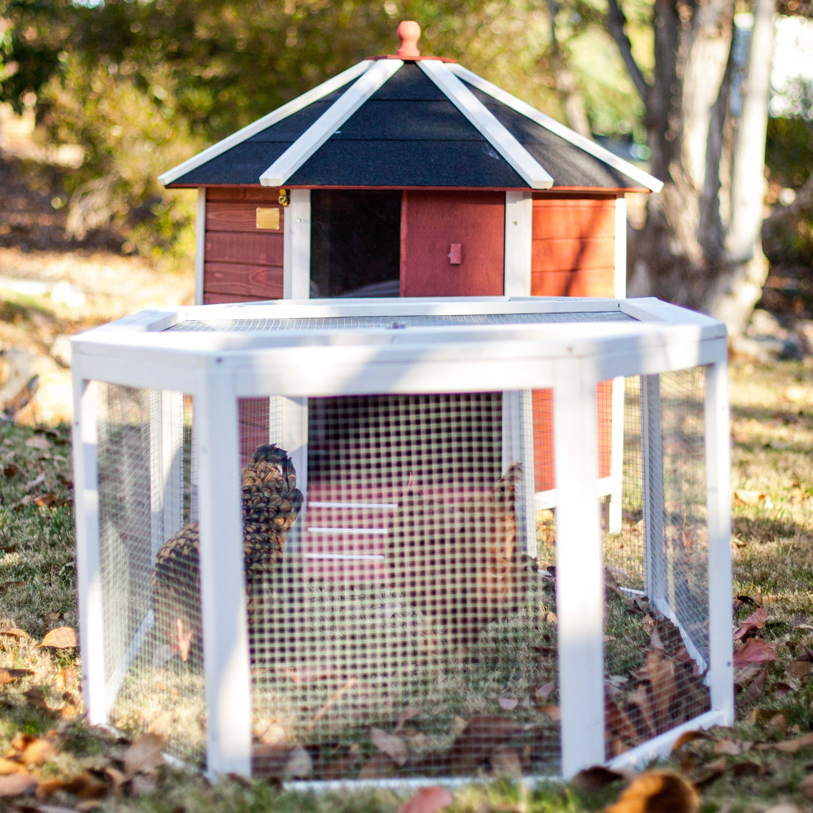 Advantek The Tower Chicken Coop & Reviews Wayfair