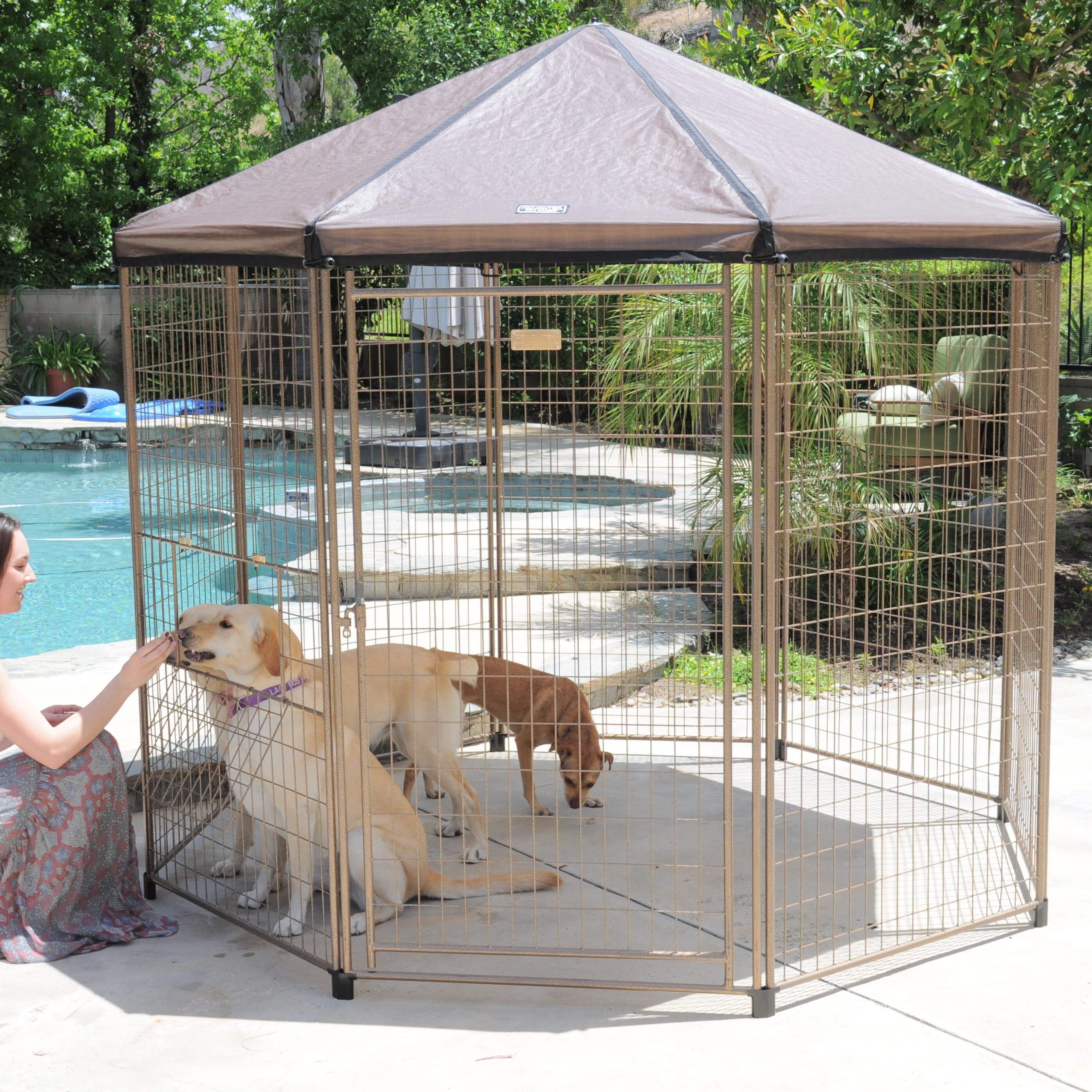 Advantek The Original Pet Gazebo & Reviews | Wayfair