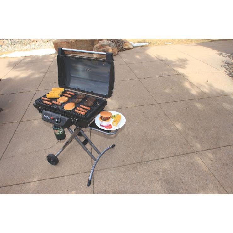 coleman nxt 100 grill accessories