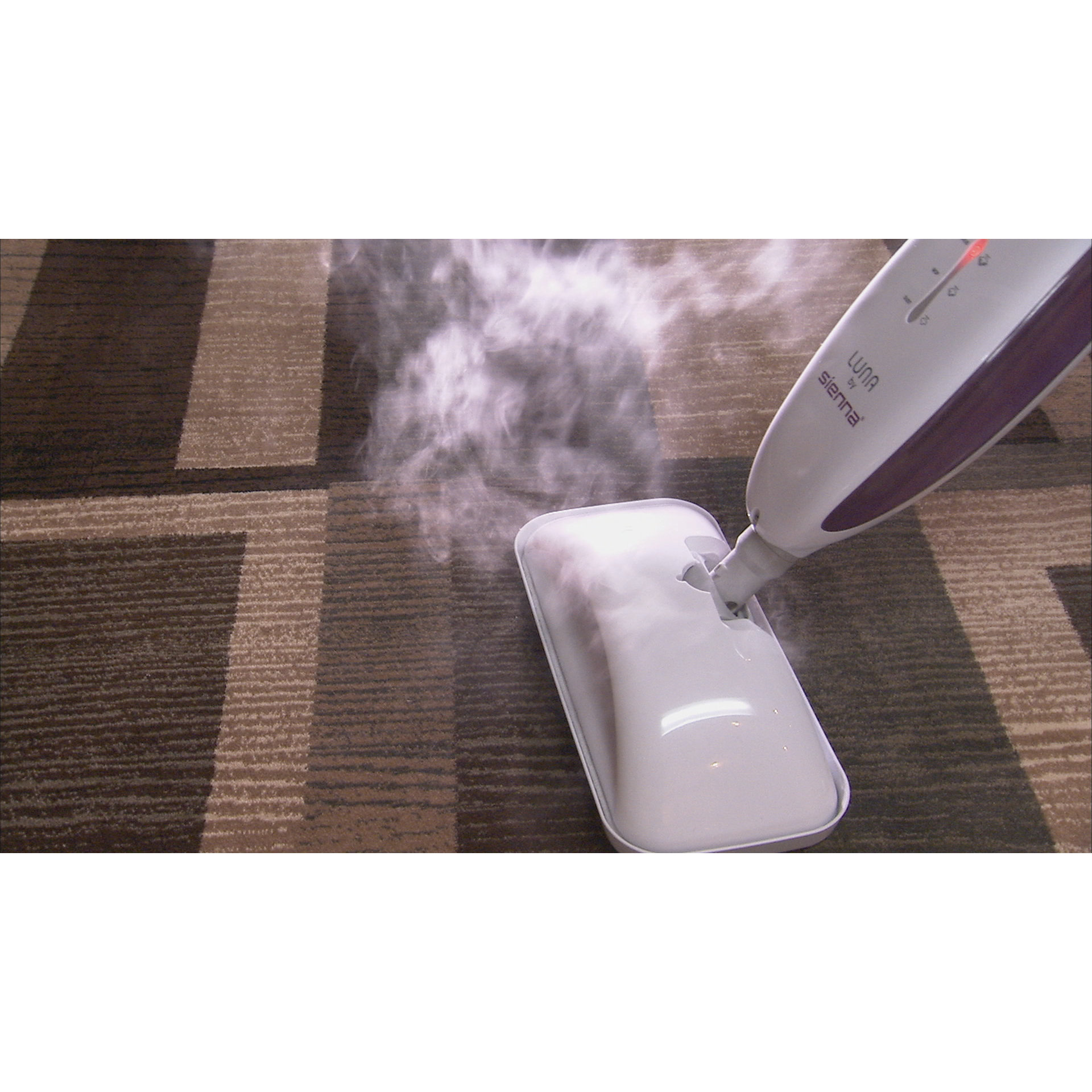Sienna Luna Plus Steam Cleaning System & Reviews Wayfair