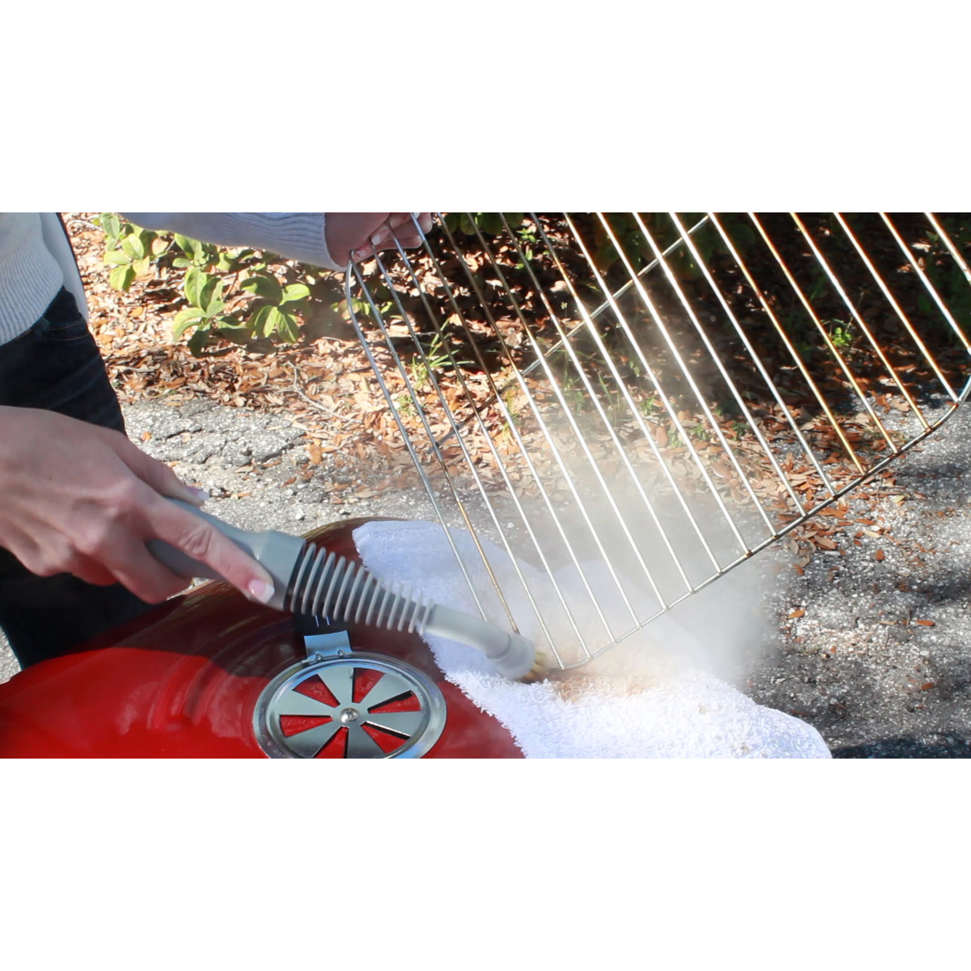 Sienna Luna Plus Steam Cleaning System & Reviews Wayfair