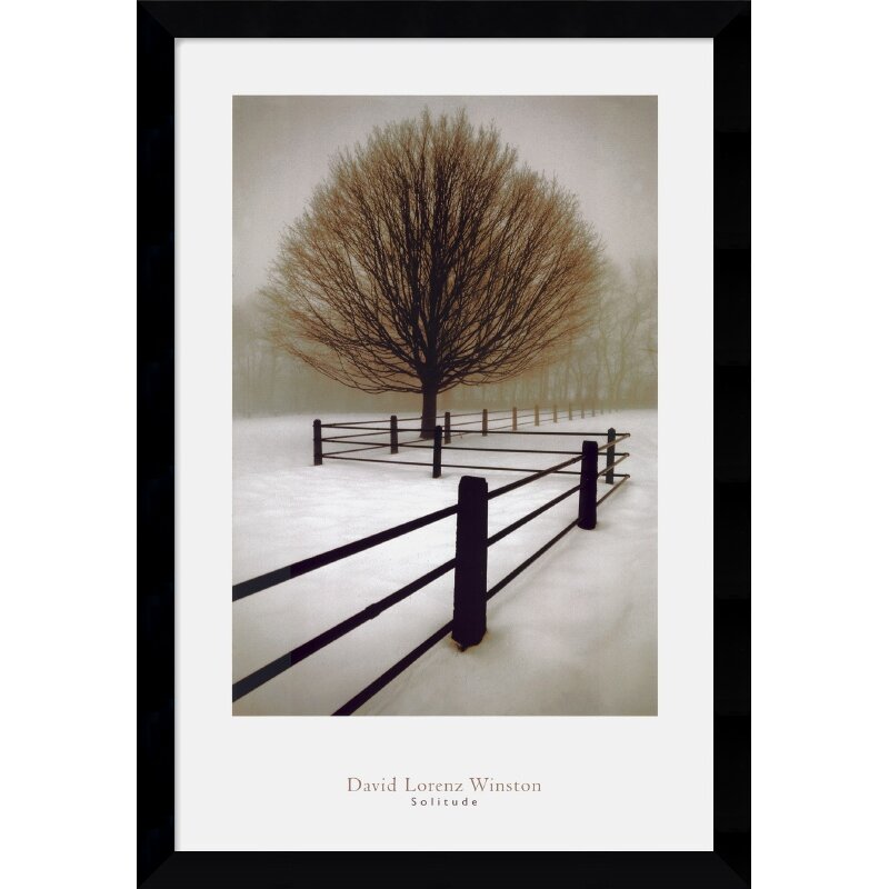 Amanti Art 'Solitude' by David Lorenz Winston Framed Photographic Print ...