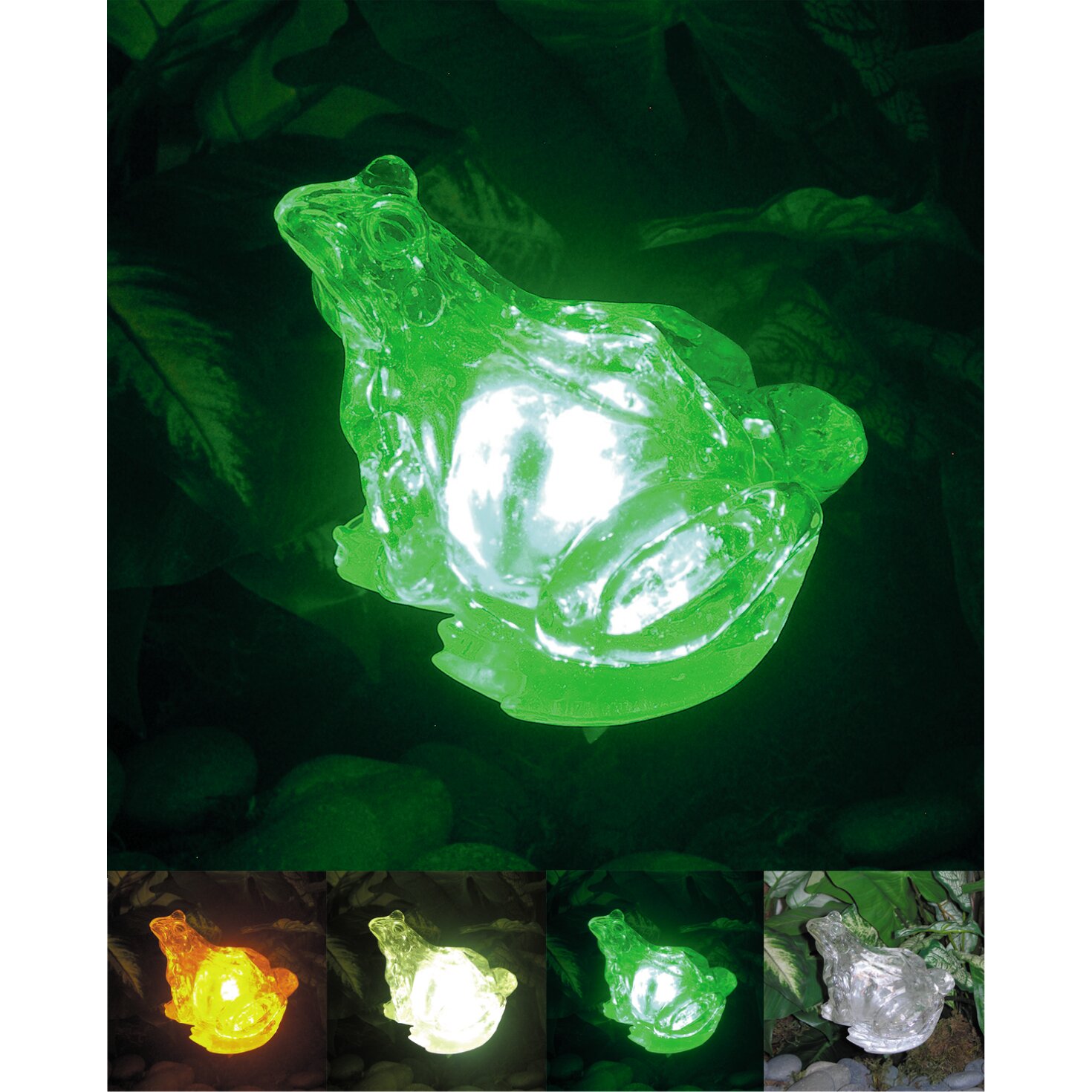 Homebrite Solar Solar Frog With Color Change Lighting & Reviews | Wayfair