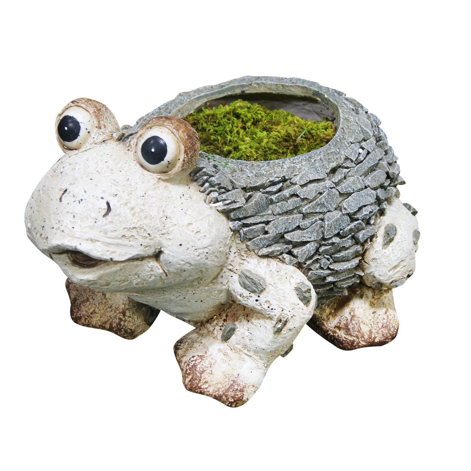 Alpine Frog Planter & Reviews Wayfair