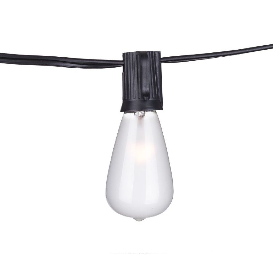 Wildon Home Eberhart 10-Light 10 ft. Globe String Lights & Reviews Wayfair
