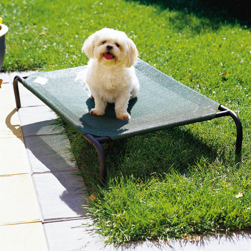 Coolaroo Elevated Indoor/Outdoor Pet Cot for Small Breeds & Reviews