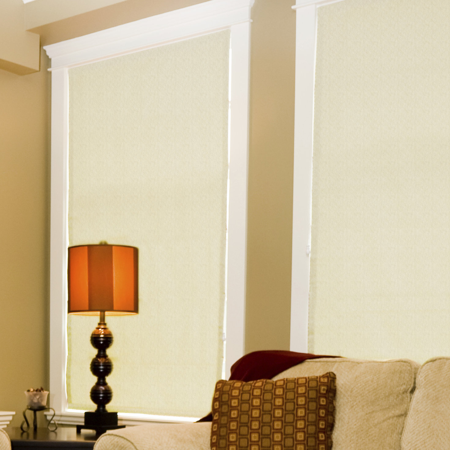 Coolaroo Cordless Roller Shade & Reviews Wayfair