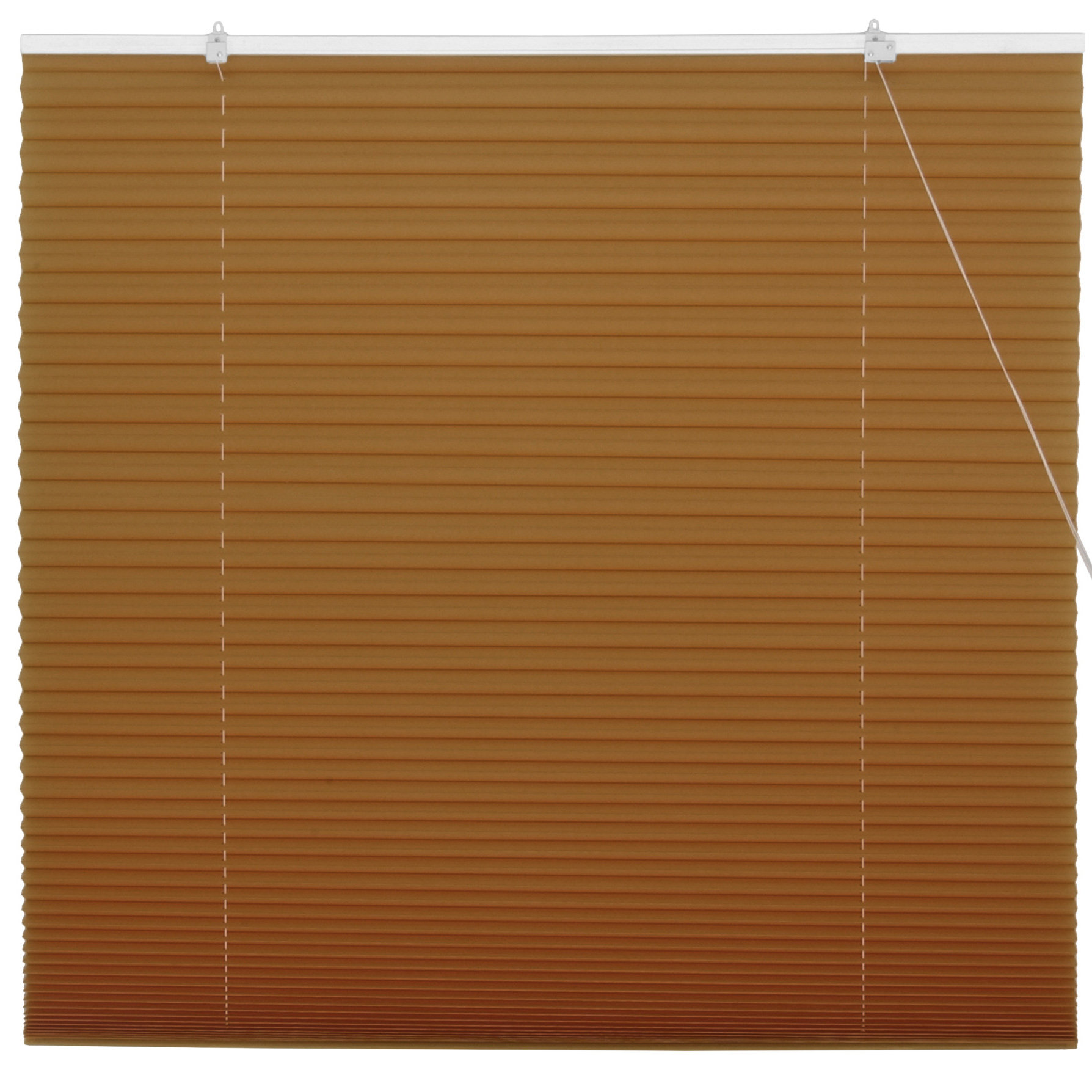 Oriental Furniture Retractable Pleated Shade & Reviews Wayfair