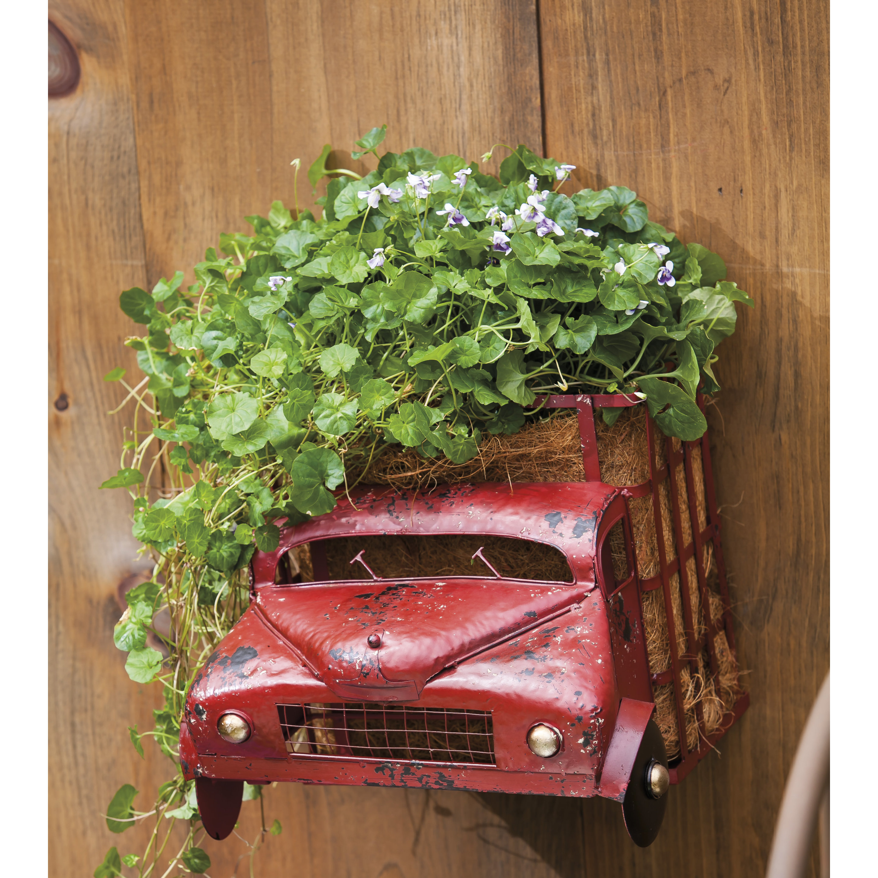 Evergreen Enterprises, Inc Novelty Truck Planter & Reviews Wayfair