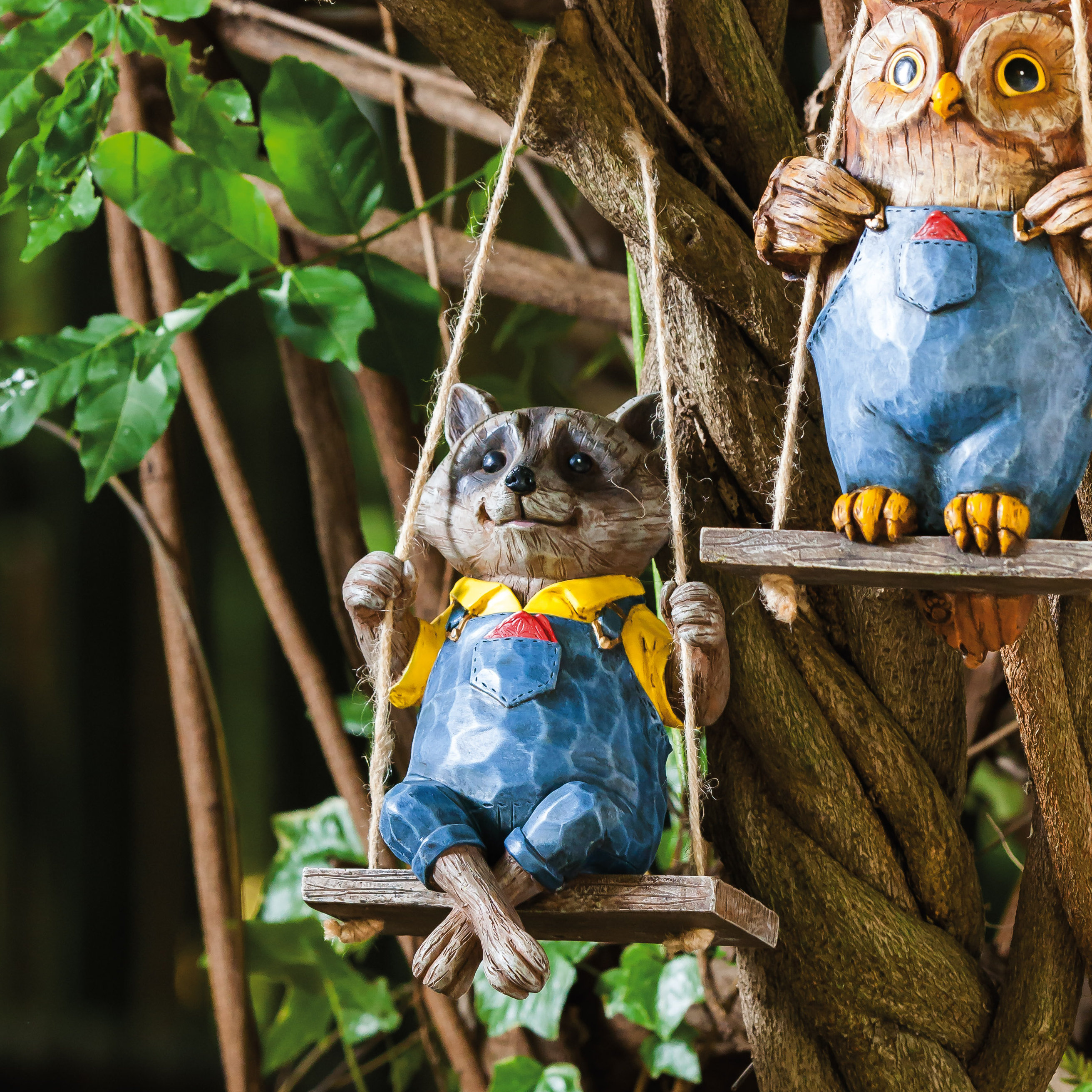 Hawaii'S Hidden Critter: Is It A Raccoon? - x5wes12