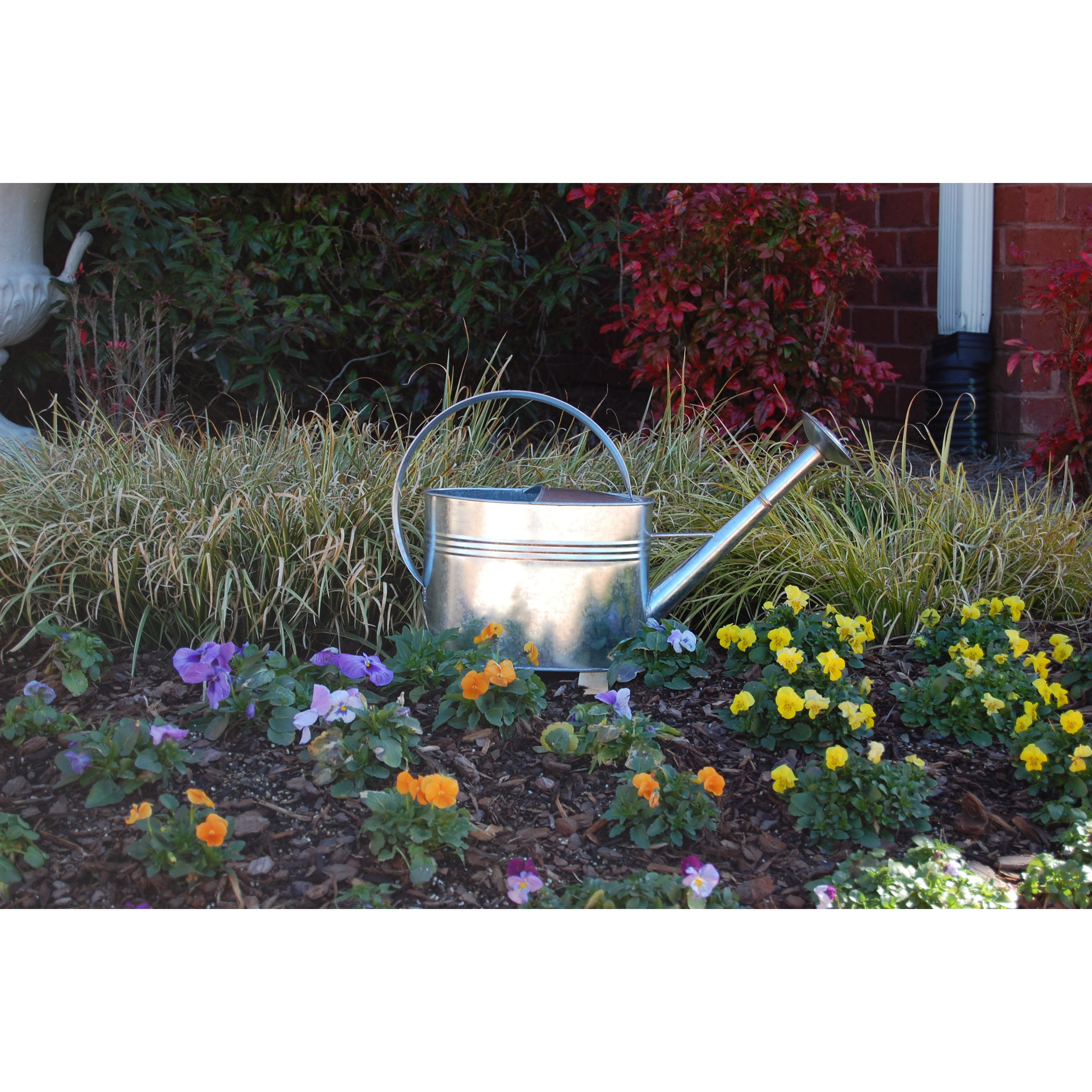 Griffith Creek Designs 1Gallon Galvanized Watering Can with Long Spout & Reviews Wayfair