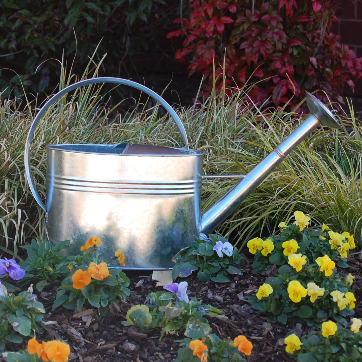 Griffith Creek Designs 1Gallon Galvanized Watering Can with Long Spout & Reviews Wayfair