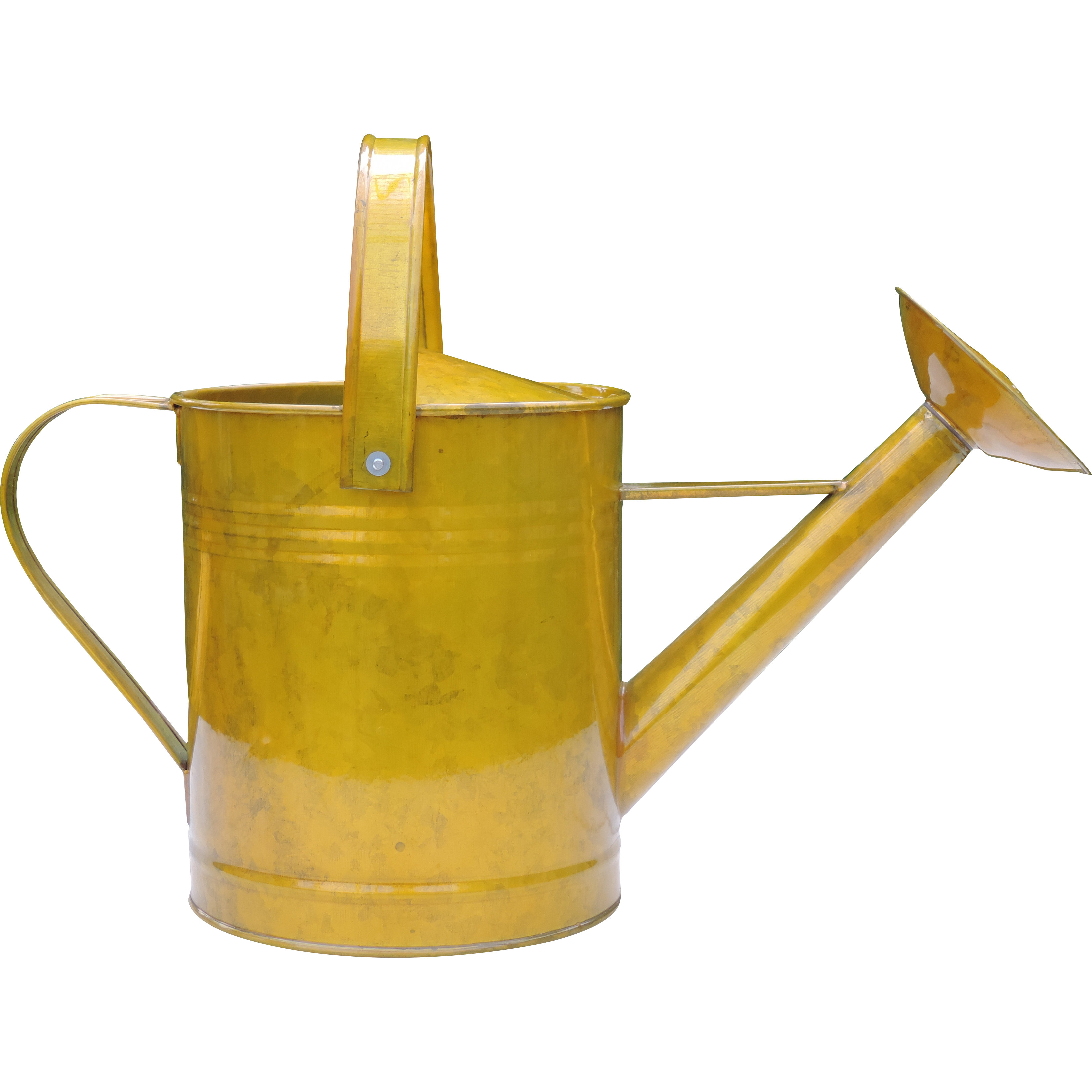 Griffith Creek Designs 1.5 Gallon Metal Watering Can & Reviews Wayfair