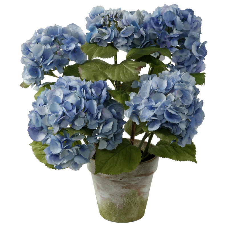 Winward Designs Potted 4 Stem Hydrangea & Reviews Wayfair