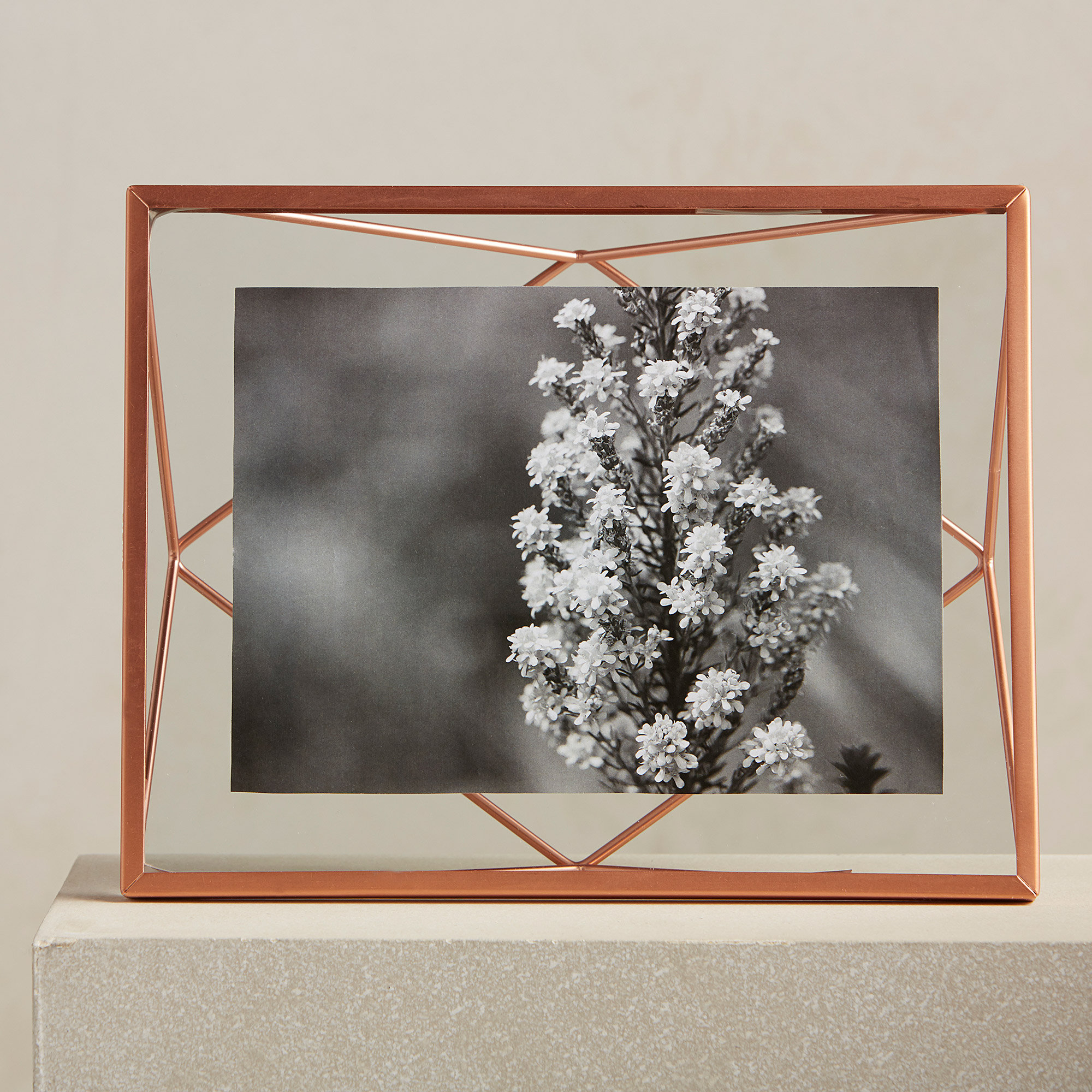 DwellStudio Copper Wire Frame & Reviews Wayfair.ca