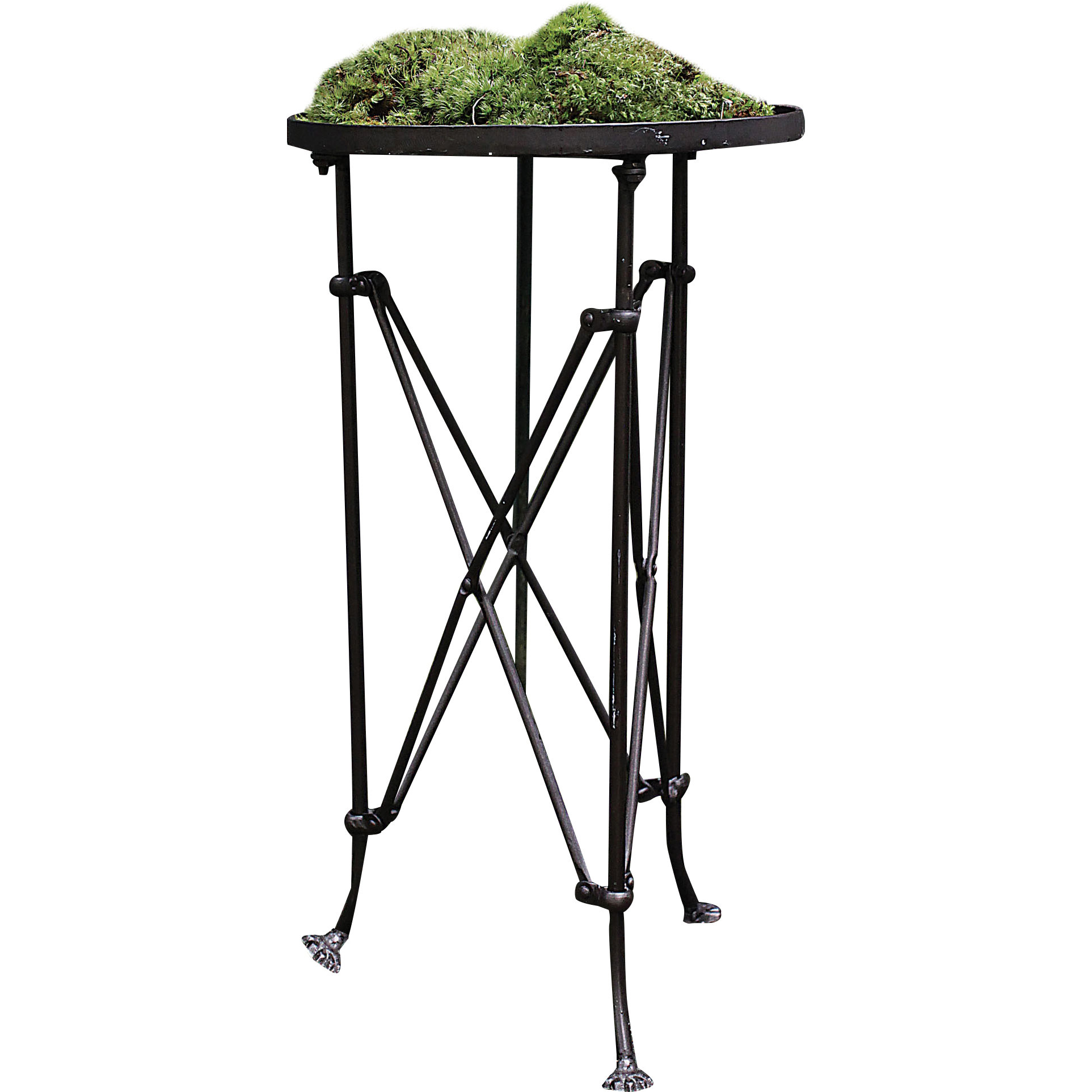 Creative CoOp Terrain Pedestal Plant Table & Reviews Wayfair