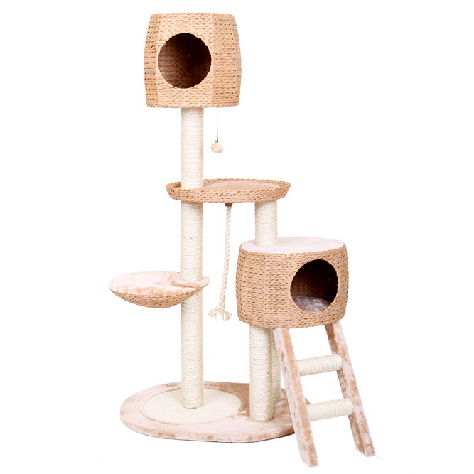 PetPals 64" Cat Tree & Reviews Wayfair