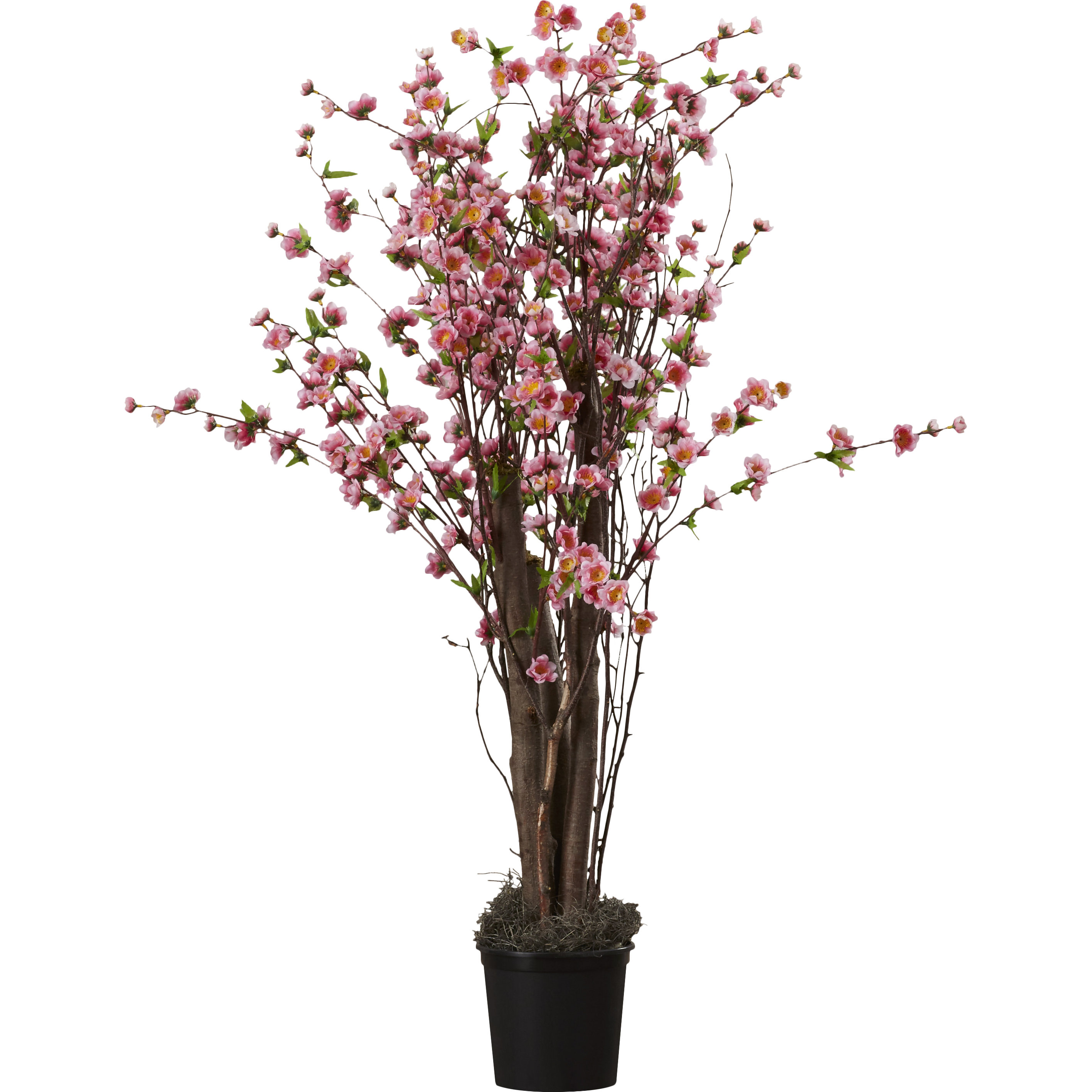 Vickerman Blossom Tree in Pot & Reviews Wayfair