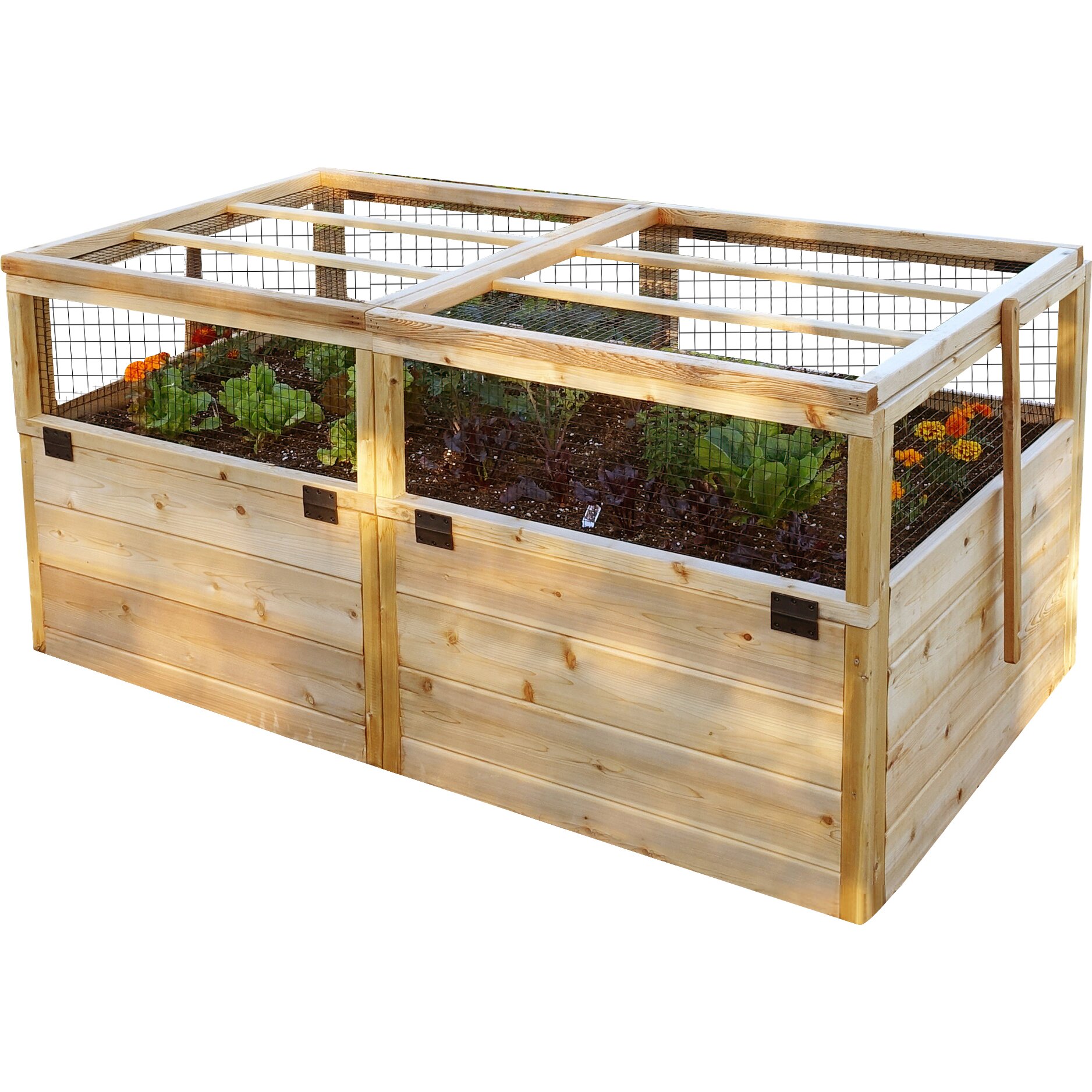 Outdoor Living Today Rectangular Raised Garden with ...