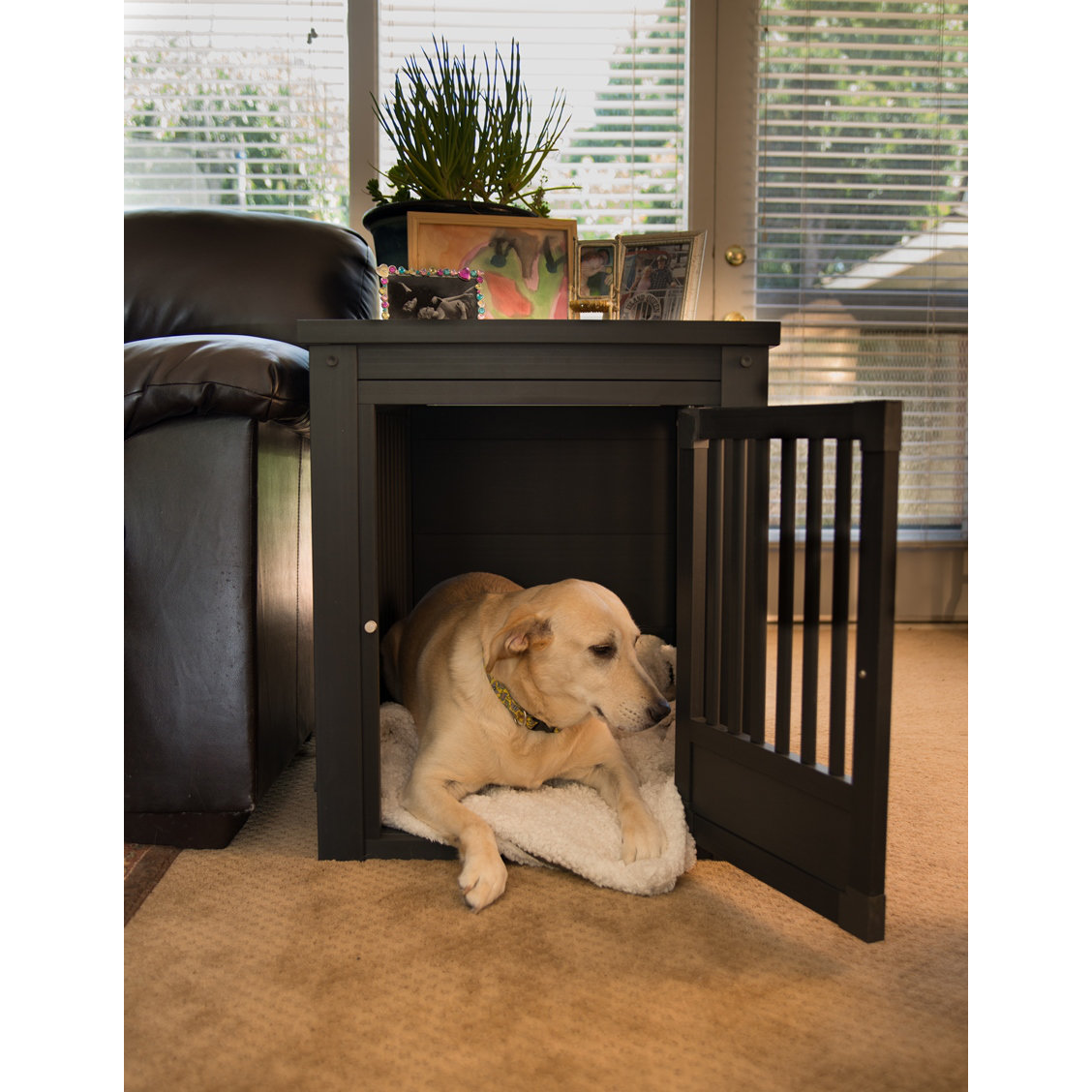 New Age Pet Habitat ‘n Home™ InnPlace™ Pet Crate End Table & Reviews