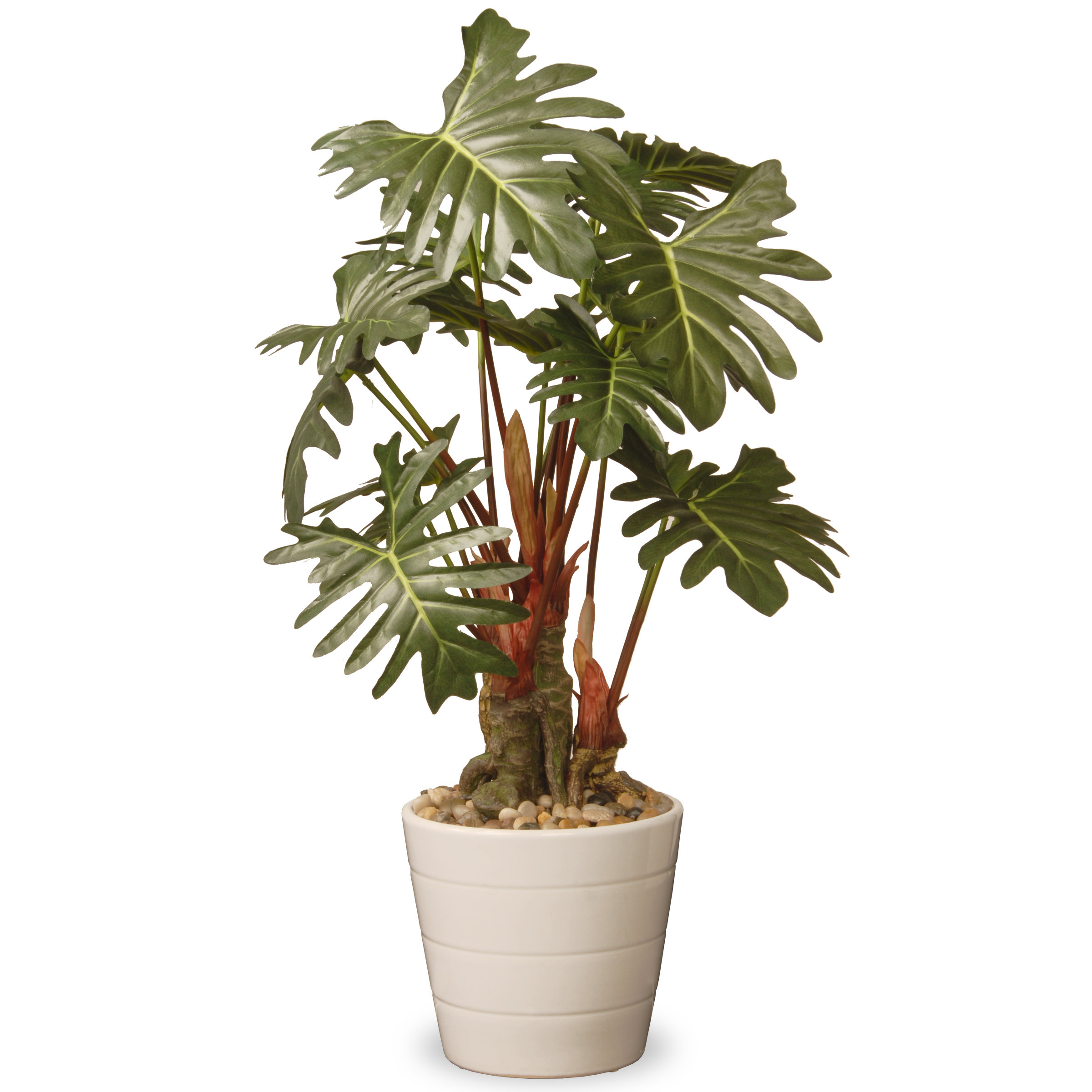 National Tree Co. Philodendron Floor Plant in Pot & Reviews Wayfair