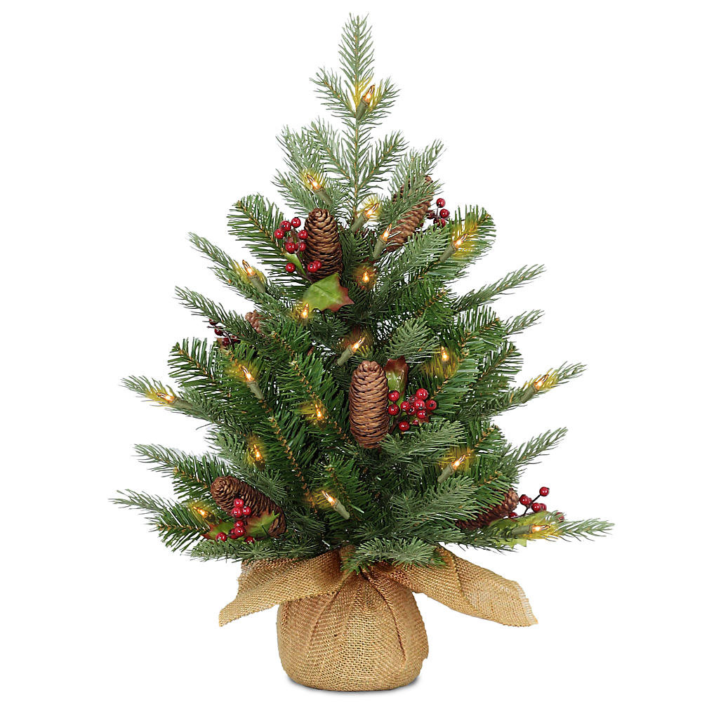 National Tree Co. 2' Nordic Spruce Christmas Tree with Clear Lights