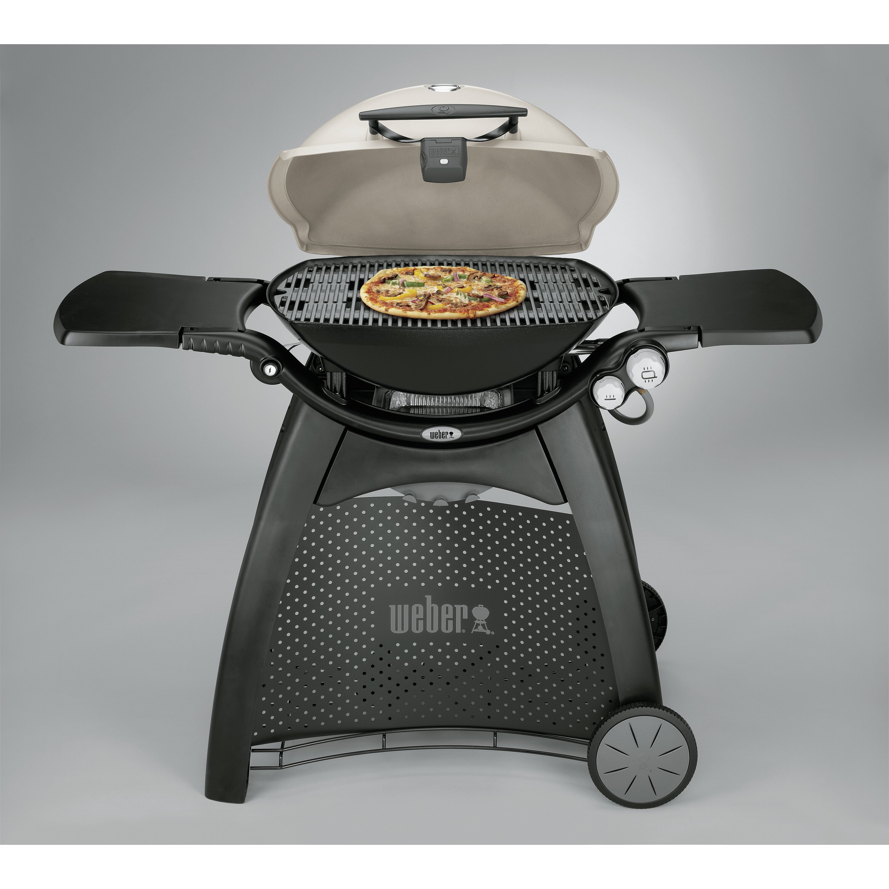 Weber Q® Series 3200 Titanium Propane Grill And Reviews Wayfair