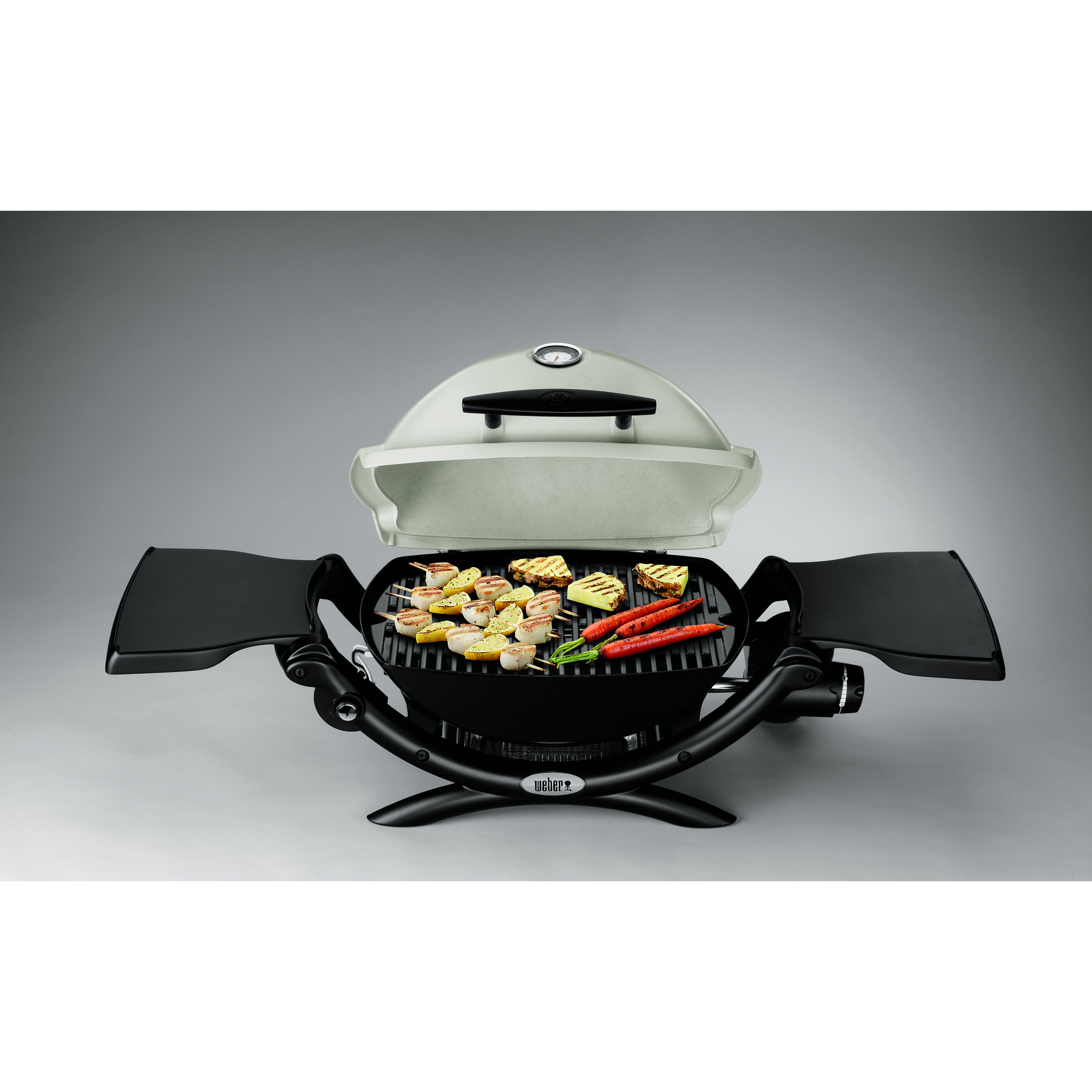 er Q® Series 1200 LP Titanium Portable Gas Grill & Reviews Wayfair