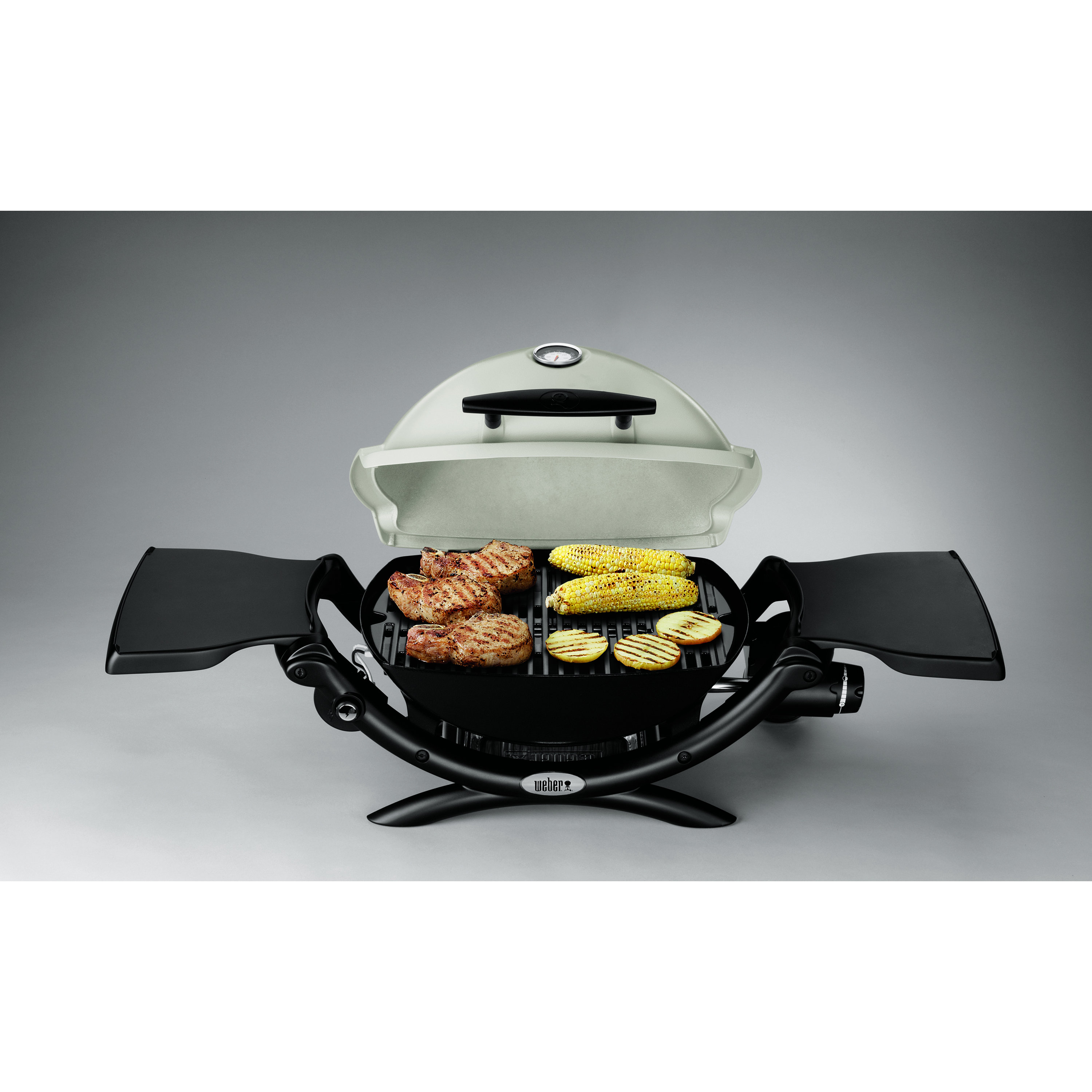 er Q® Series 1200 LP Titanium Portable Gas Grill & Reviews Wayfair