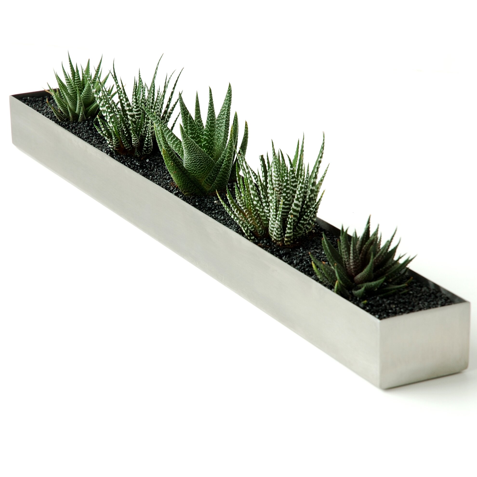 Gus Modern Rectangular Planter Box & Reviews | Wayfair