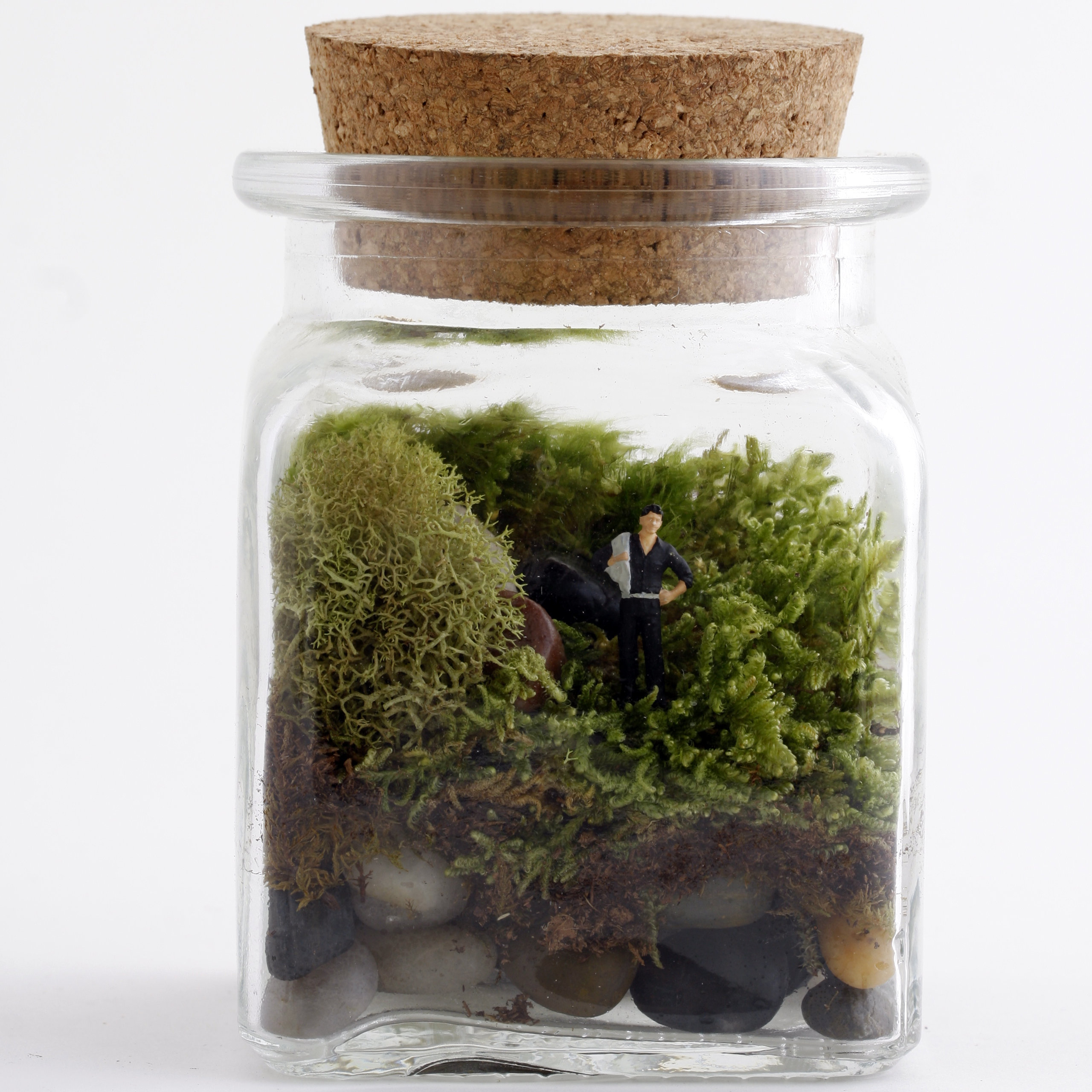 Twig Terrariums Le Petit Singularite Desk Top Plant in Terrarium