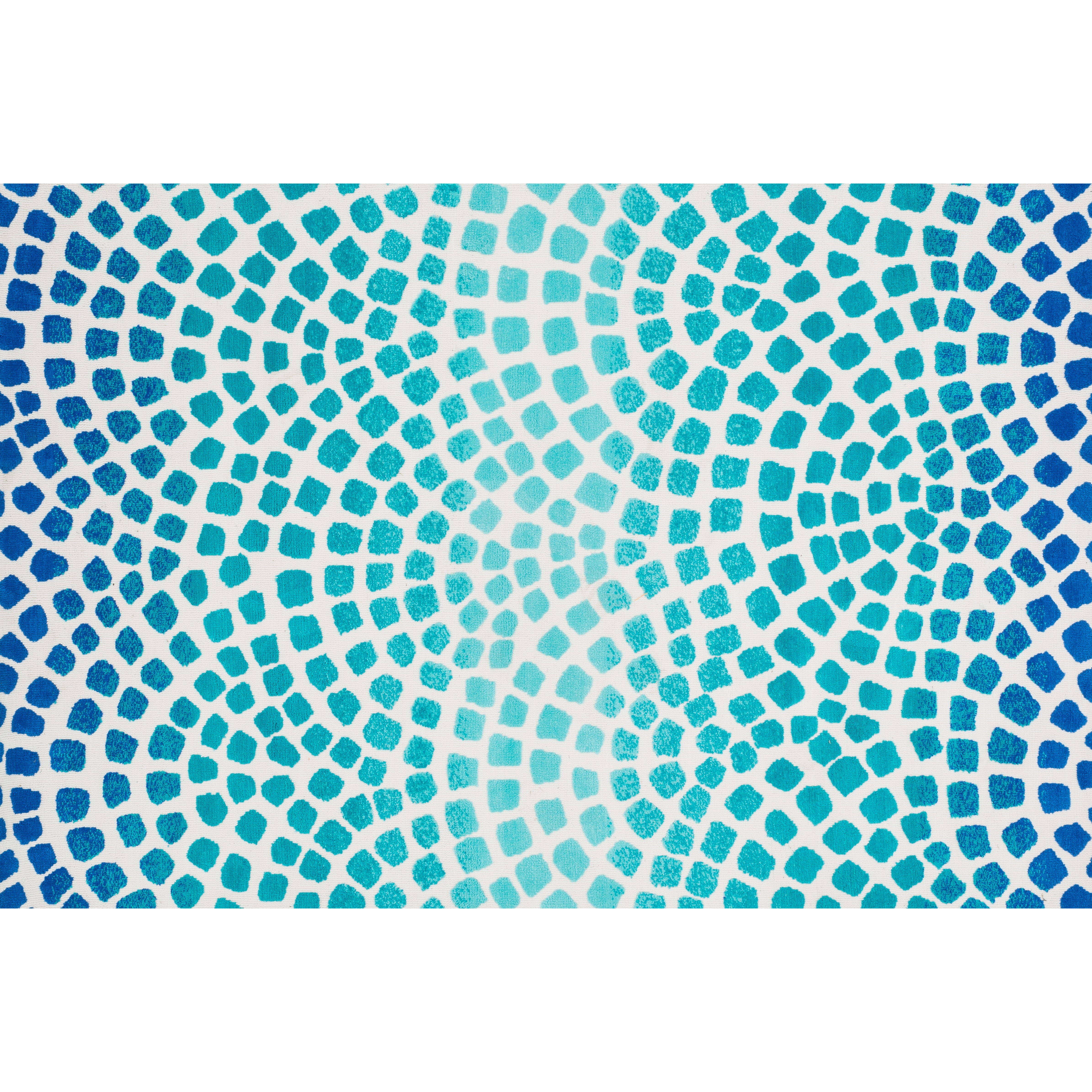 Loloi Rugs Cassidy Aqua & Blue Area Rug & Reviews Wayfair