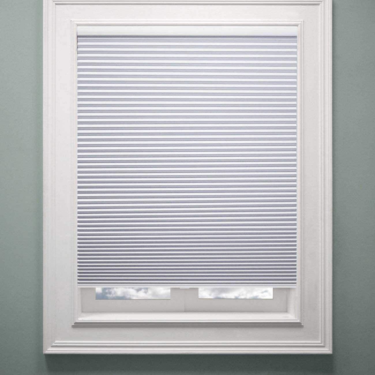 Chicology Cordless Cellular Blackout Shade & Reviews Wayfair