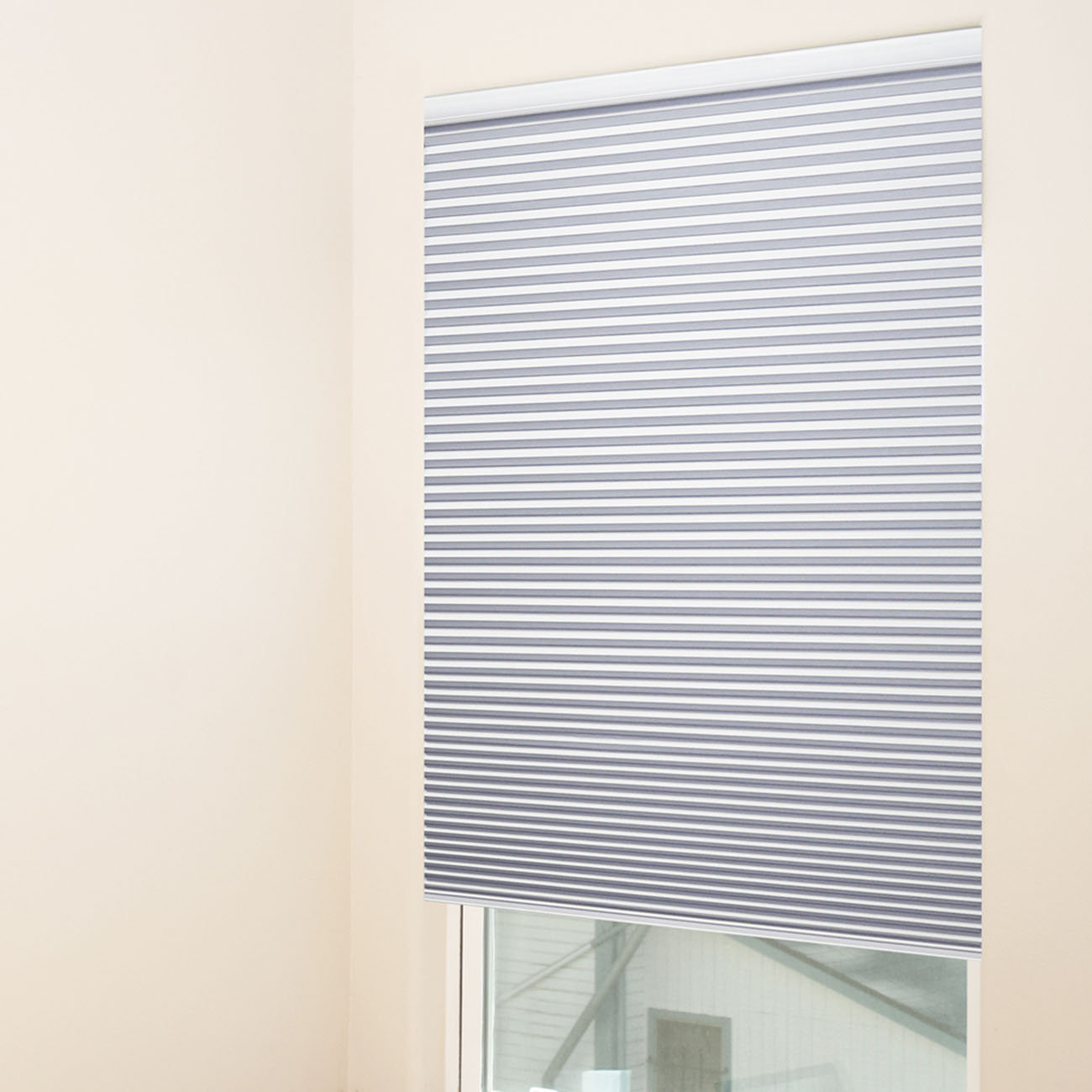 Chicology Cordless Cellular Blackout Shade & Reviews Wayfair