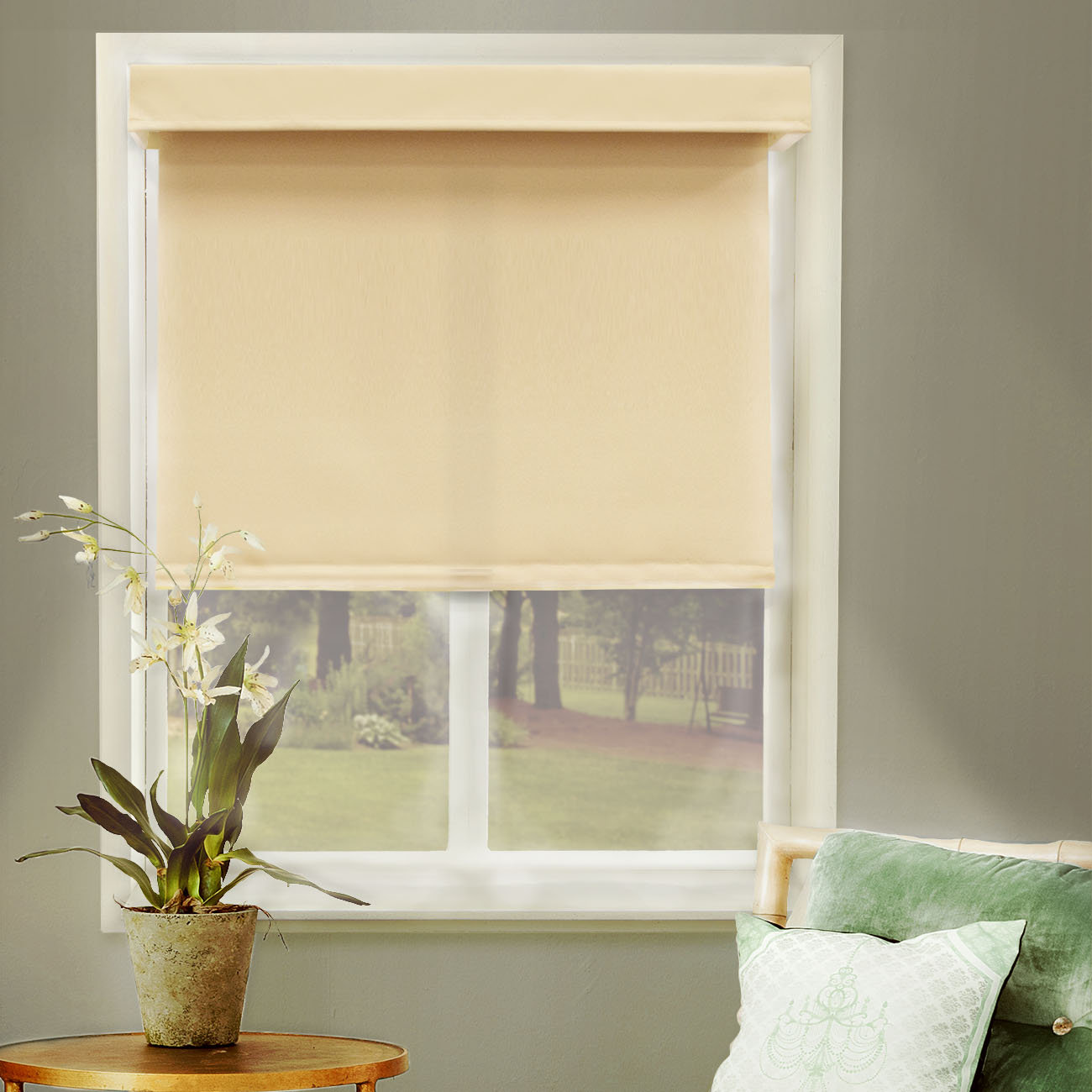 Chicology Mountain Cordless Privacy Thermal Roller Shade & Reviews