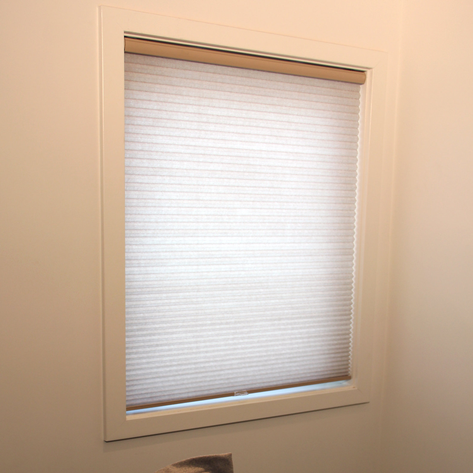 Chicology Cordless Cellular Privacy Shade & Reviews Wayfair