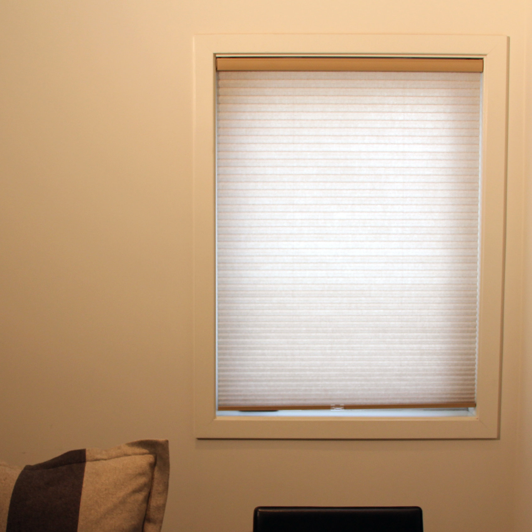 Chicology Cordless Cellular Privacy Shade & Reviews Wayfair