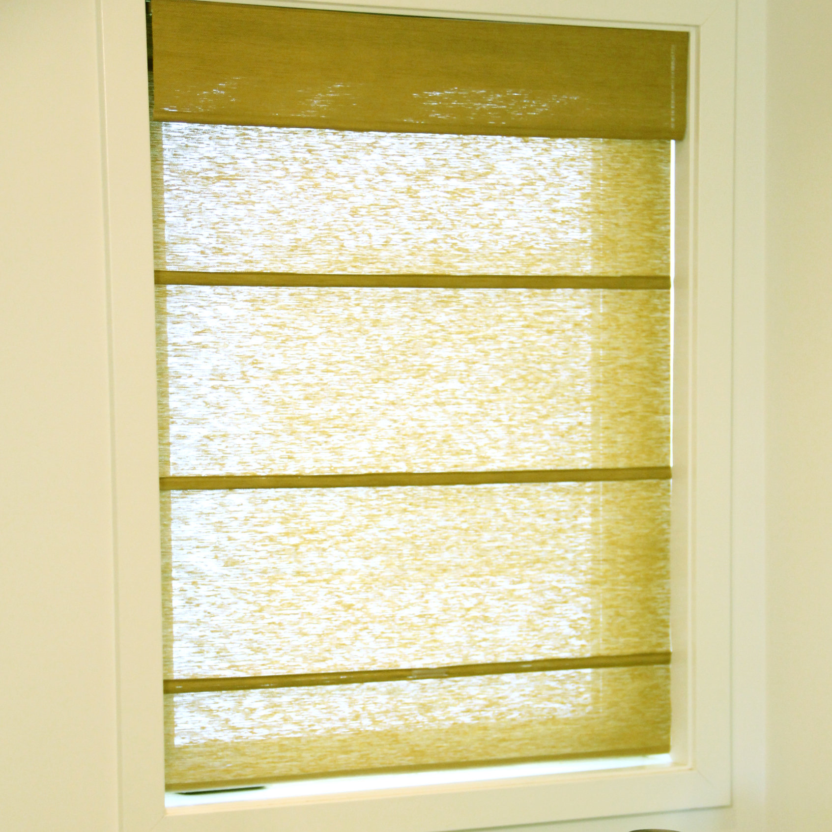 Chicology Jamaican Cordless Roman Shade & Reviews Wayfair