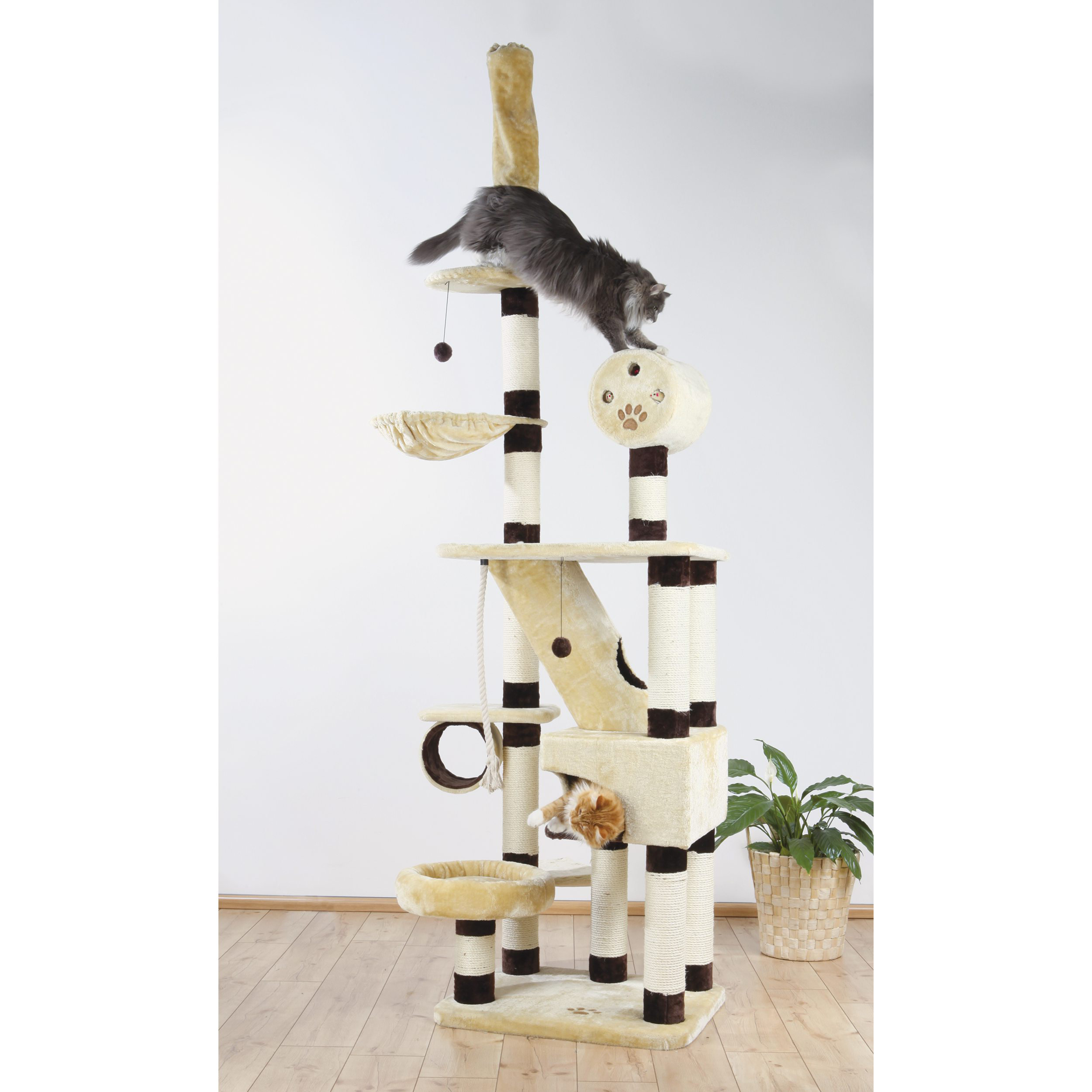 Trixie 110" Belorado Adjustable Cat Tree & Reviews Wayfair