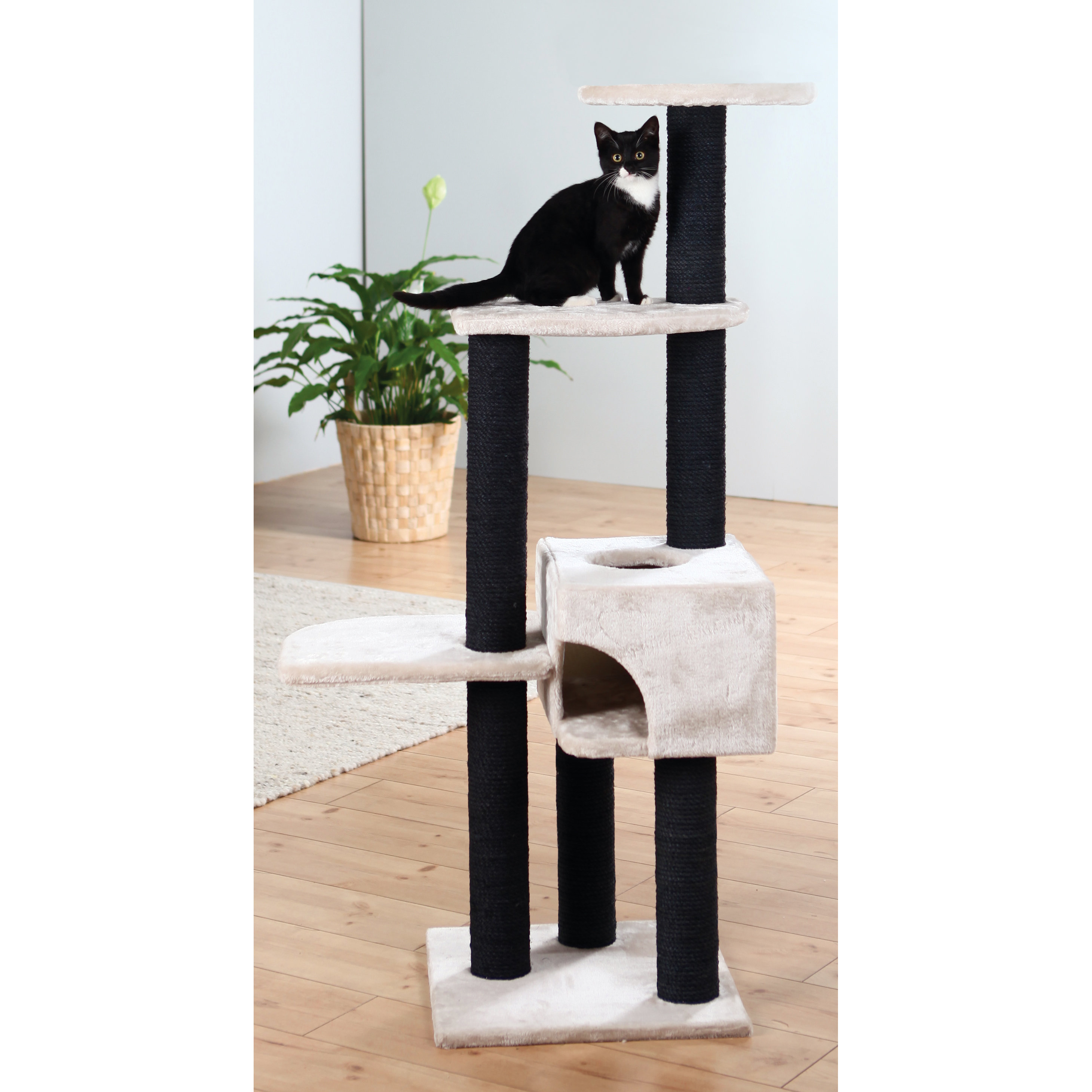 Trixie 55.75" Alicante Cat Tree & Reviews Wayfair.ca