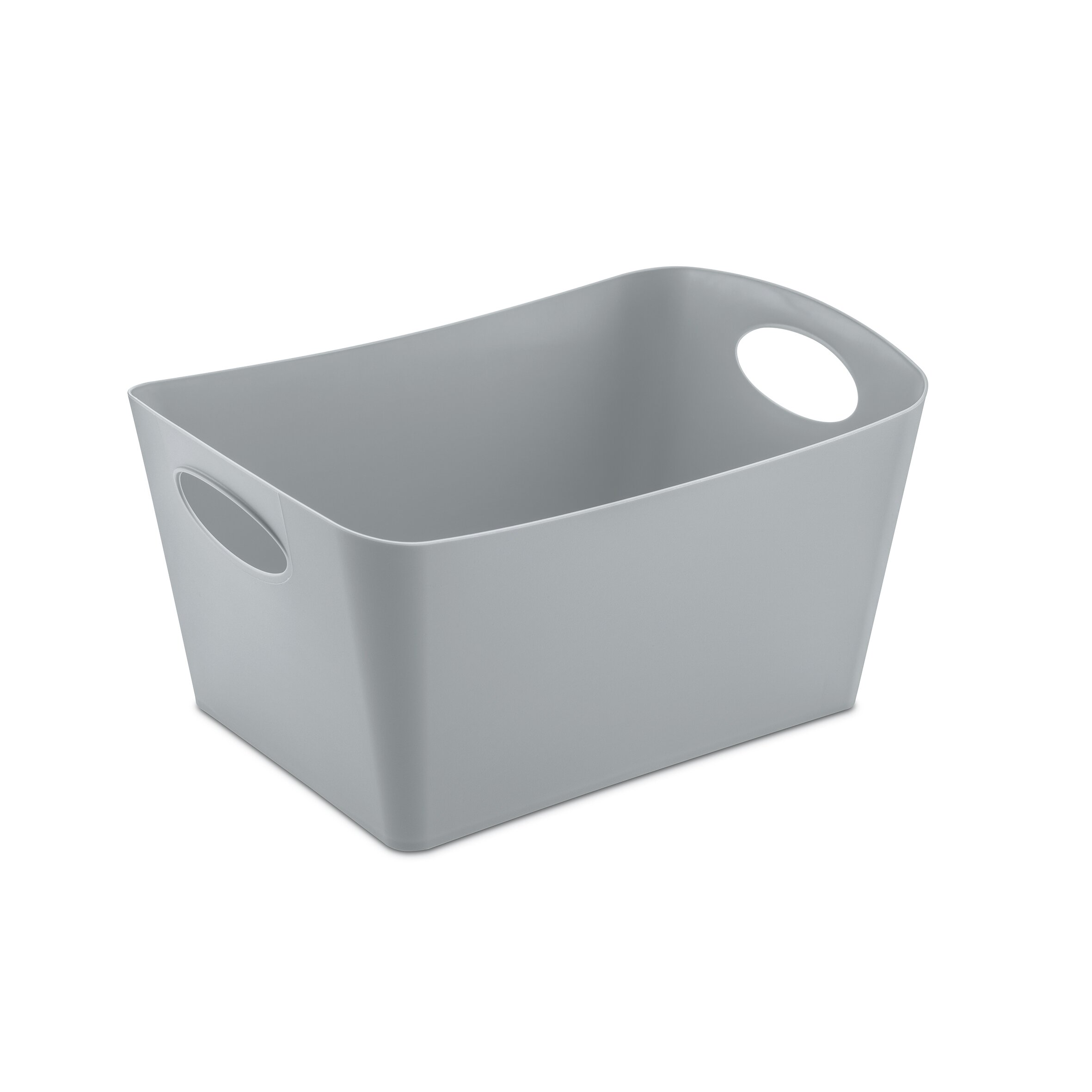 Koziol Medium Rectangular Storage Box & Reviews | Wayfair