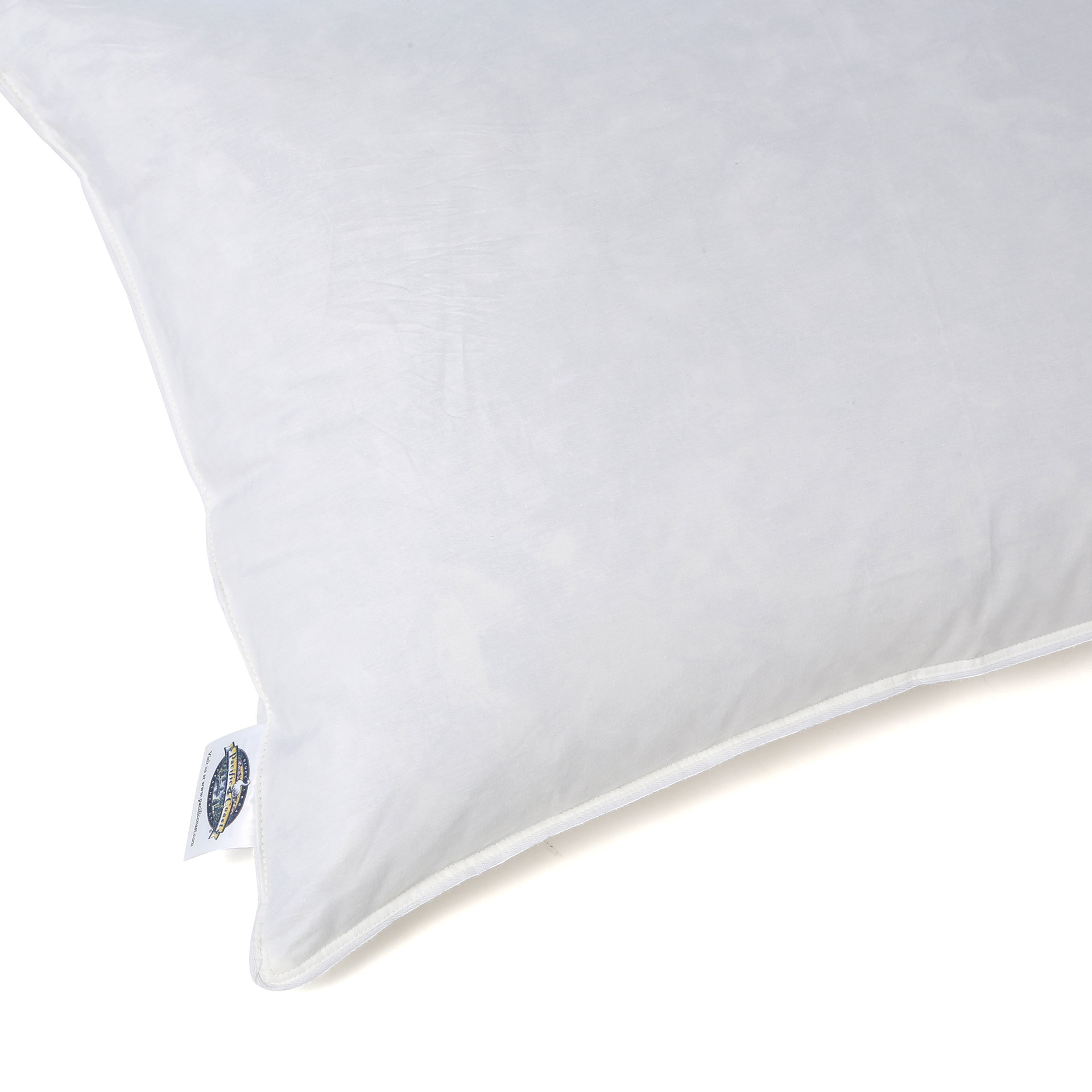 Pacific Coast Feather Euro Feather Pillow & Reviews Wayfair