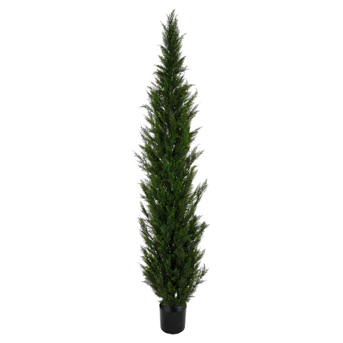 Loon Peak Cedar Tree in Pot & Reviews Wayfair