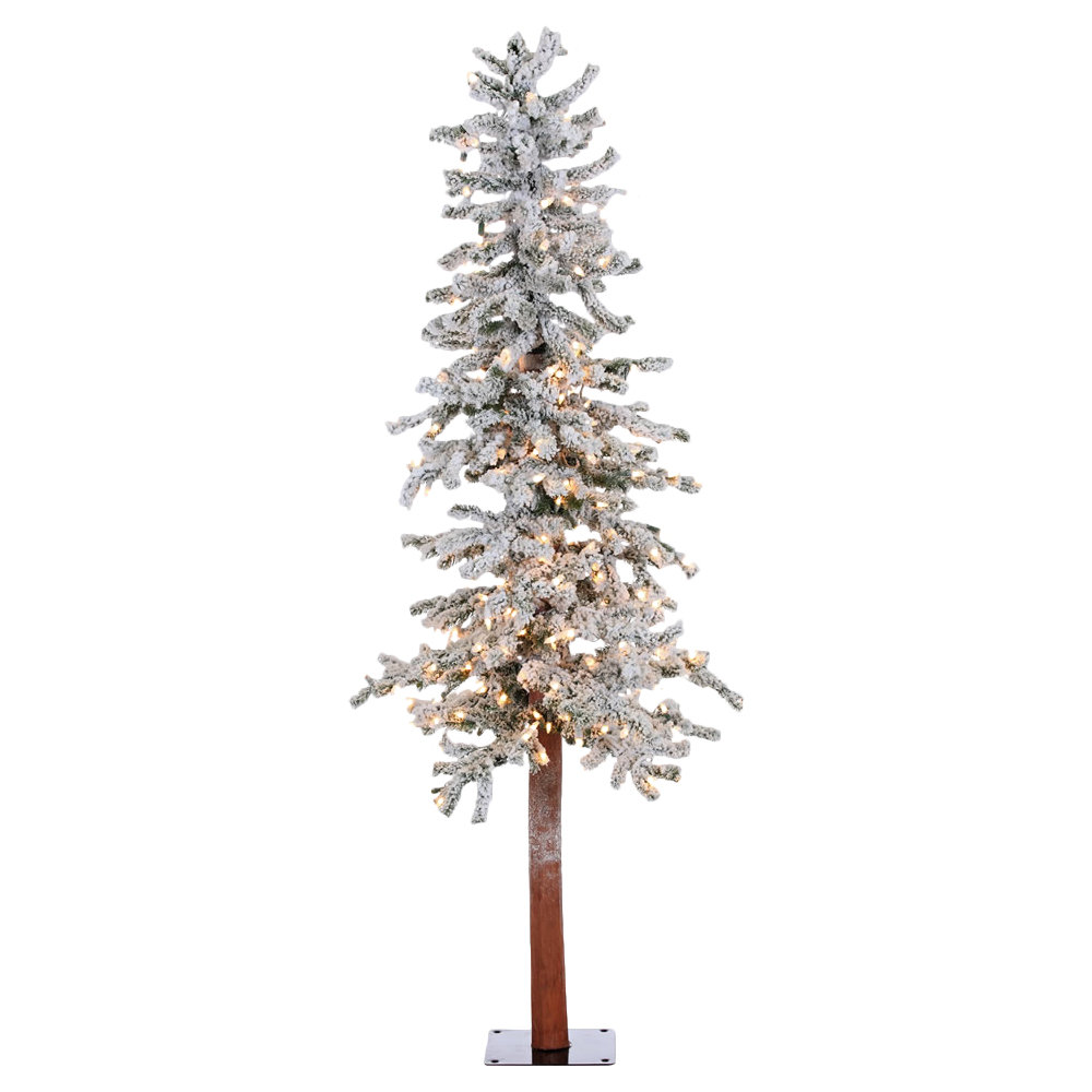 National Tree Co. Nordic 4' Green Spruce Artificial ...