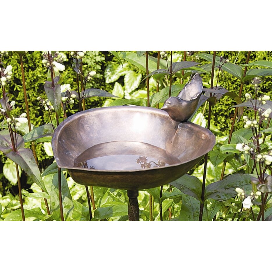 ACHLA Heart Shaped Birdbath and Feeder & Reviews | Wayfair